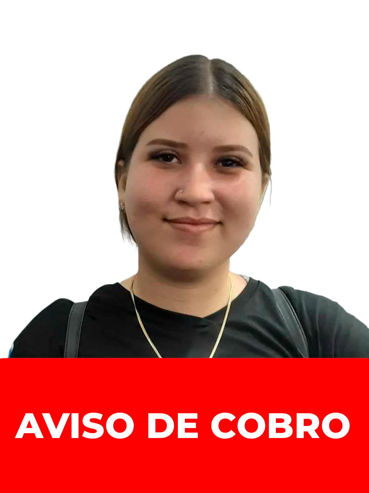 STELET YIRBELYS HERNANDEZ MENDEZ