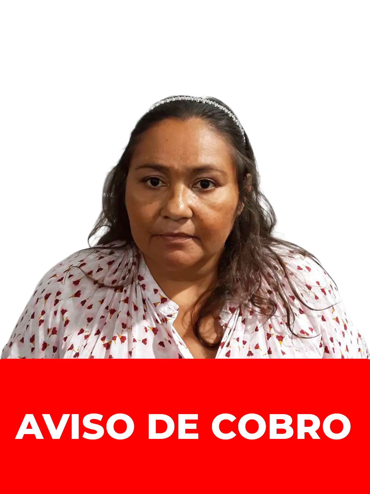 INES AMELIA ALCALA VASQUEZ