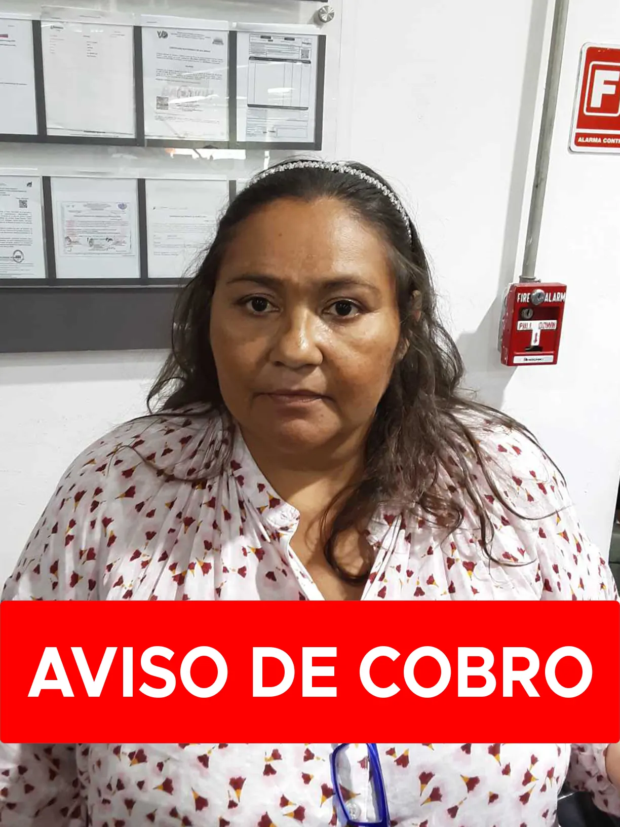 INES AMELIA ALCALA VASQUEZ