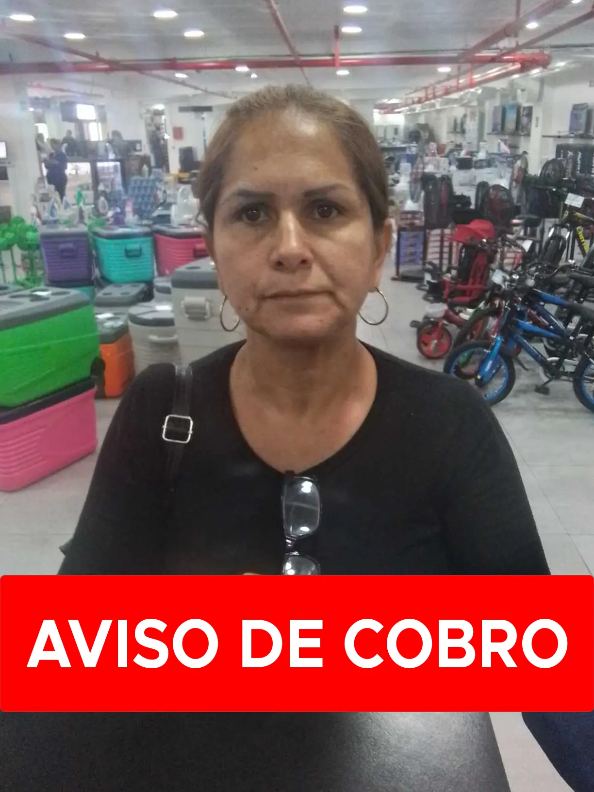 TERESA ALTUVE PEREZ