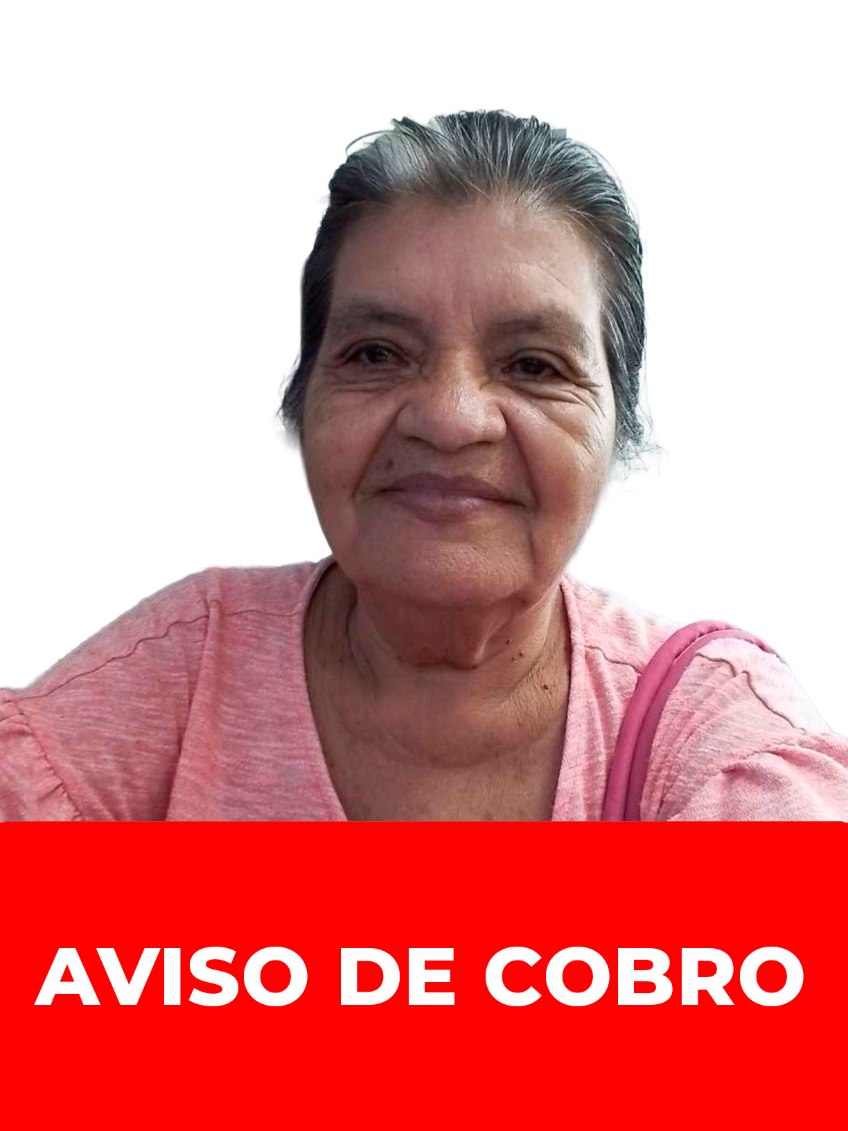 CARMEN HAYDEE PEÑA DE BALZA