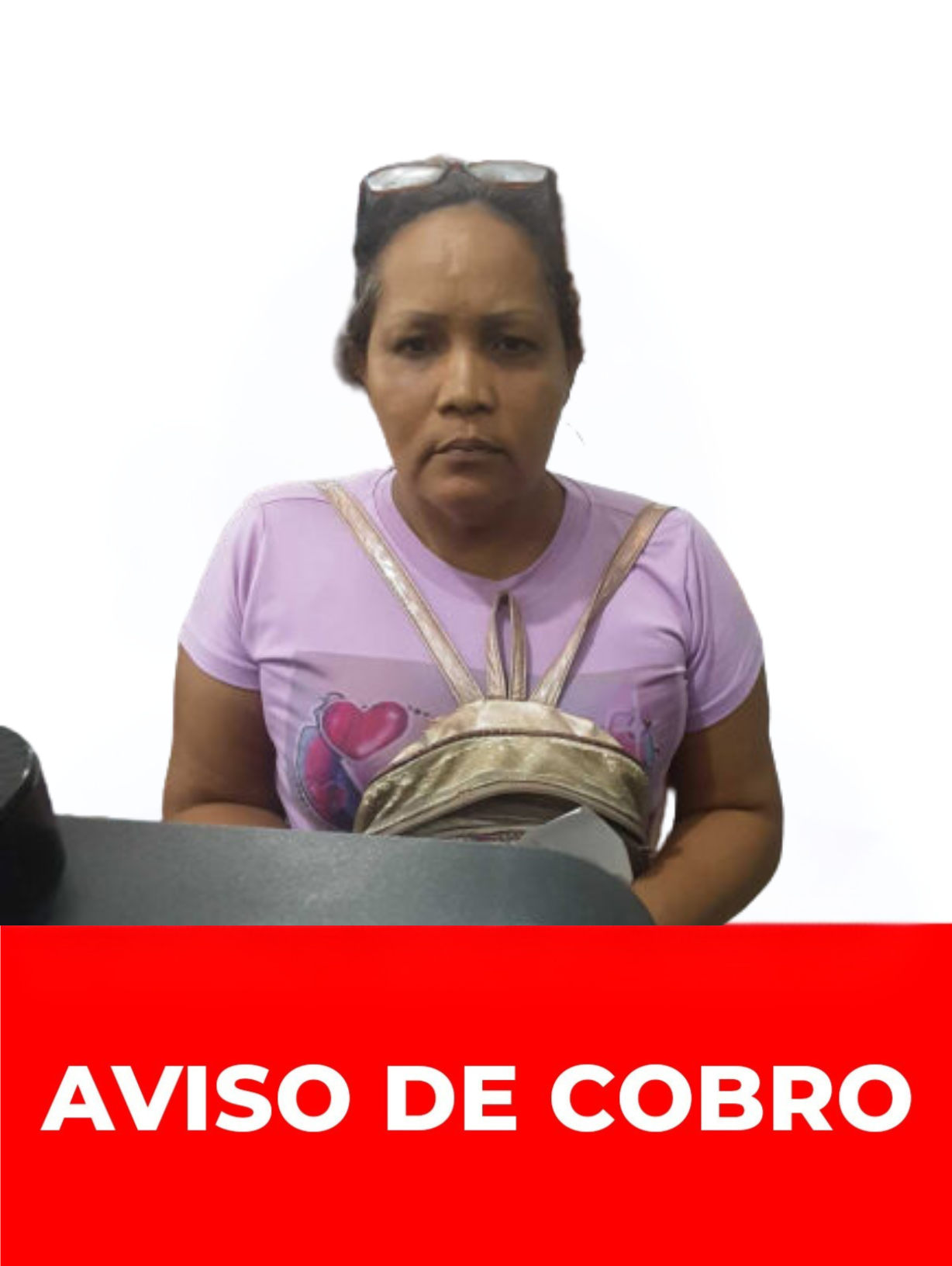 JANET MARGARITA HERNANDEZ ALVAREZ