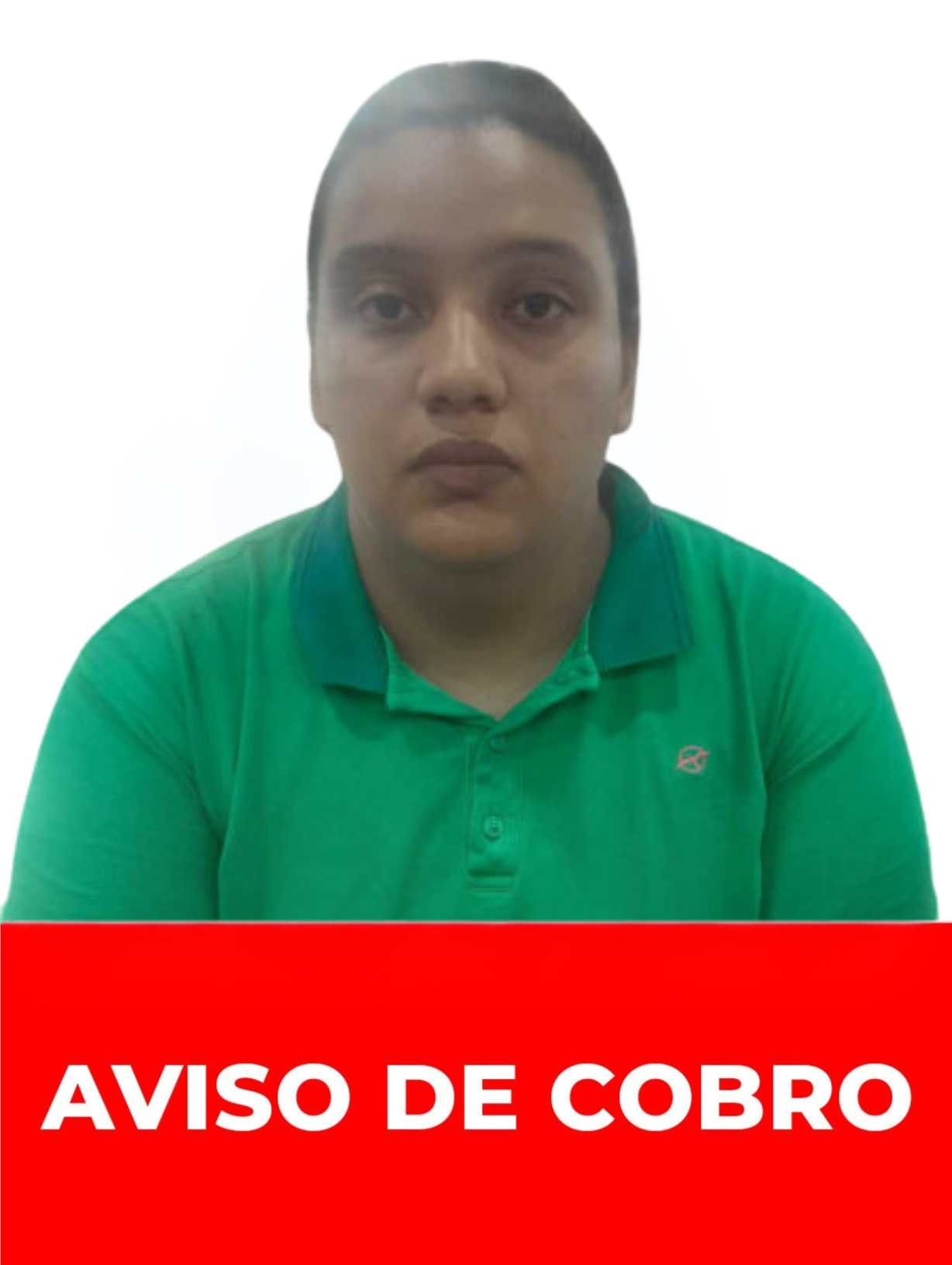 JOHANNA CAROLINA VILLARROEL ARISMENDI