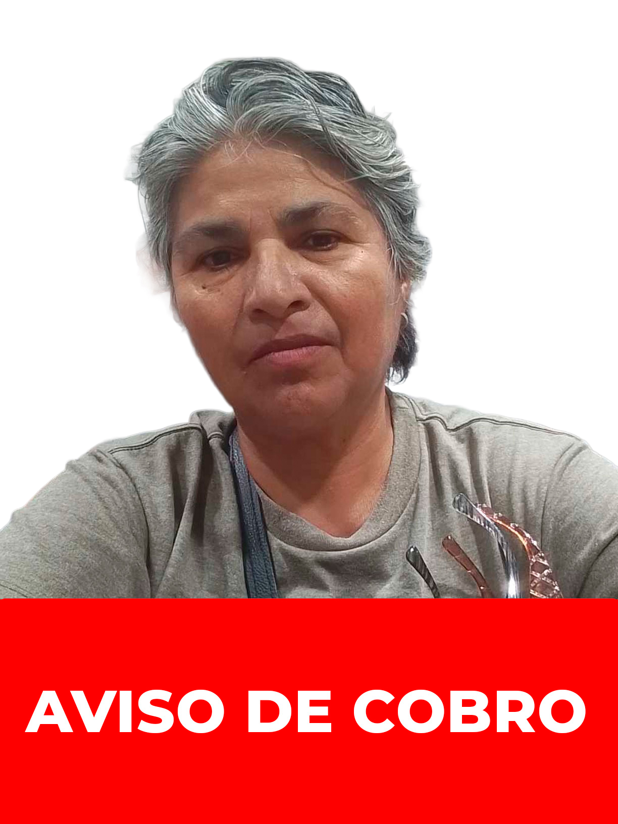 ANIDORIS DEL CARMEN CARREÑO DE ABREU