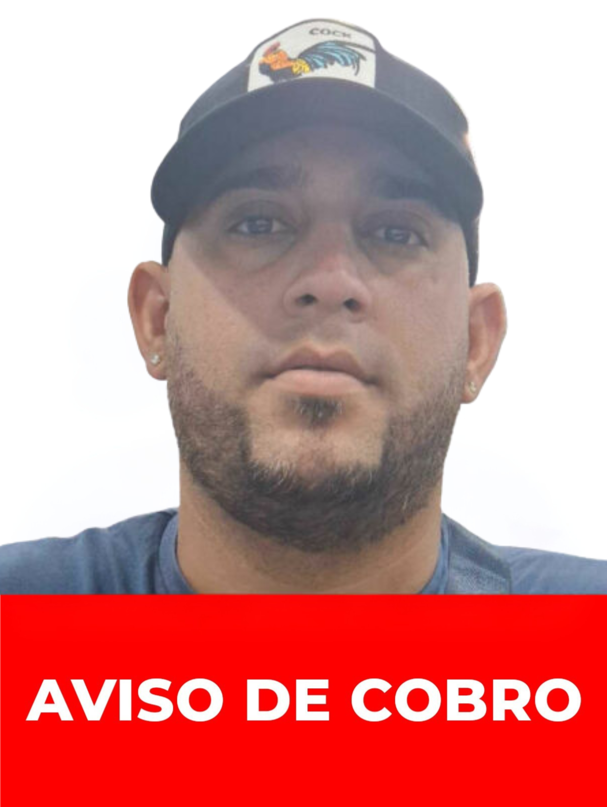 JOSE FRANCISCO REVEROL DELGADO