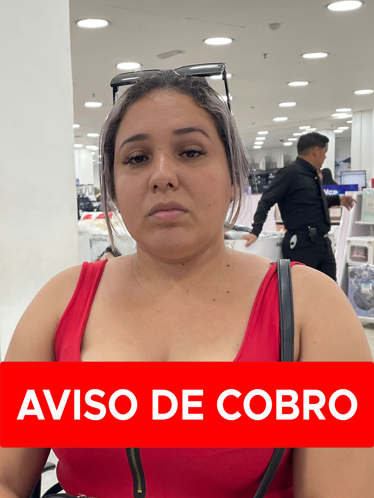 LOURDES DEL VALLE PAUL PEREZ