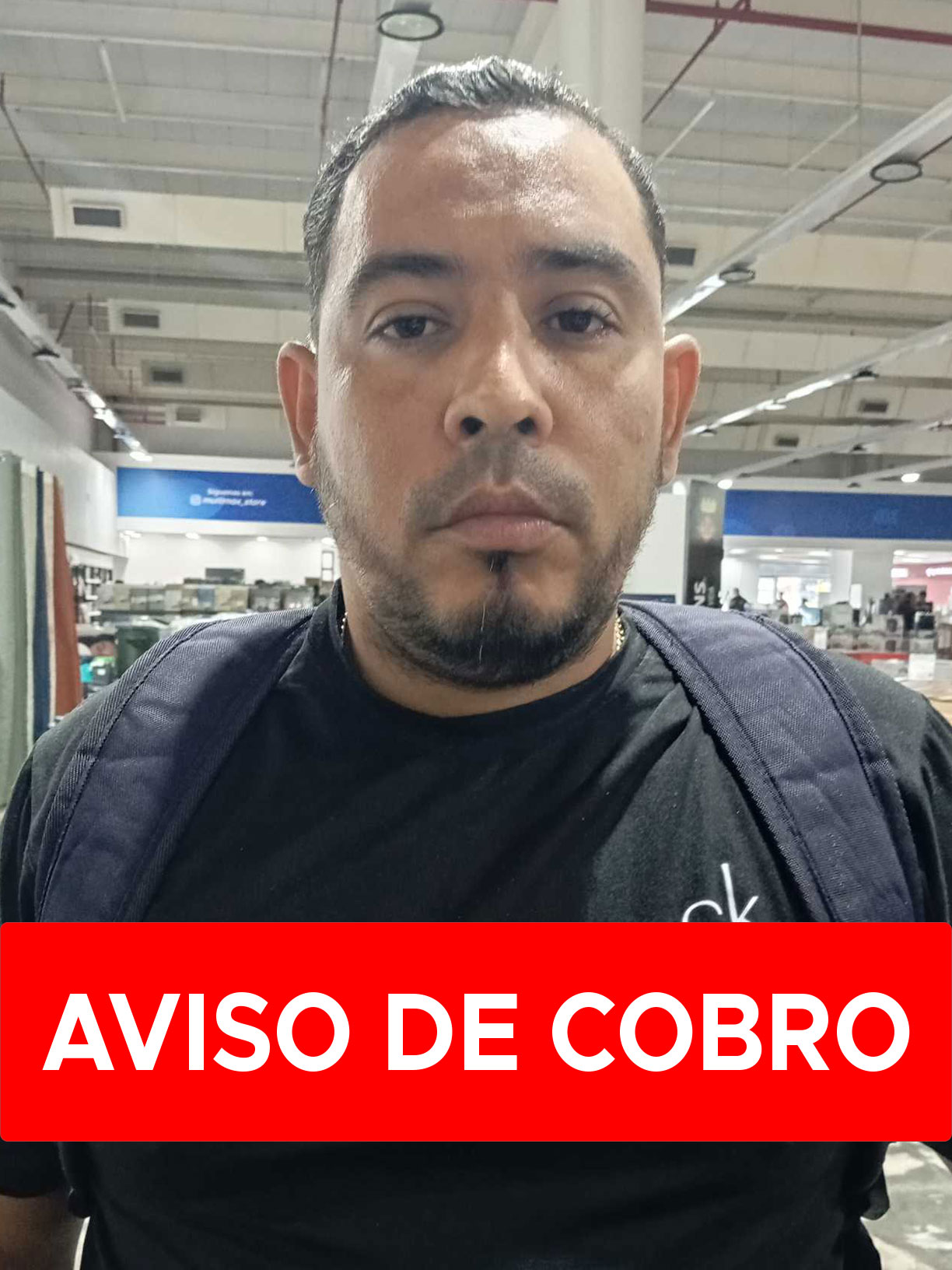 HECTOR ENRIQUE PINEDA PICHARDO