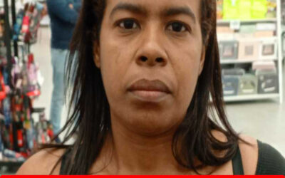 DULCE ANA MARIA CHIRINO LOPEZ