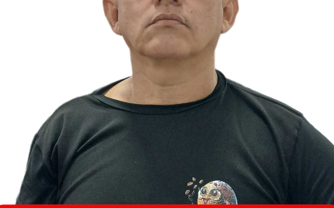 ROMER ALEXANDER HERNANDEZ ARAUJO