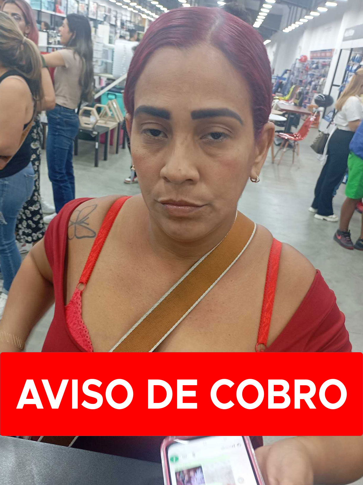 VIRMARY YNES ARIAS YLARRAZA
