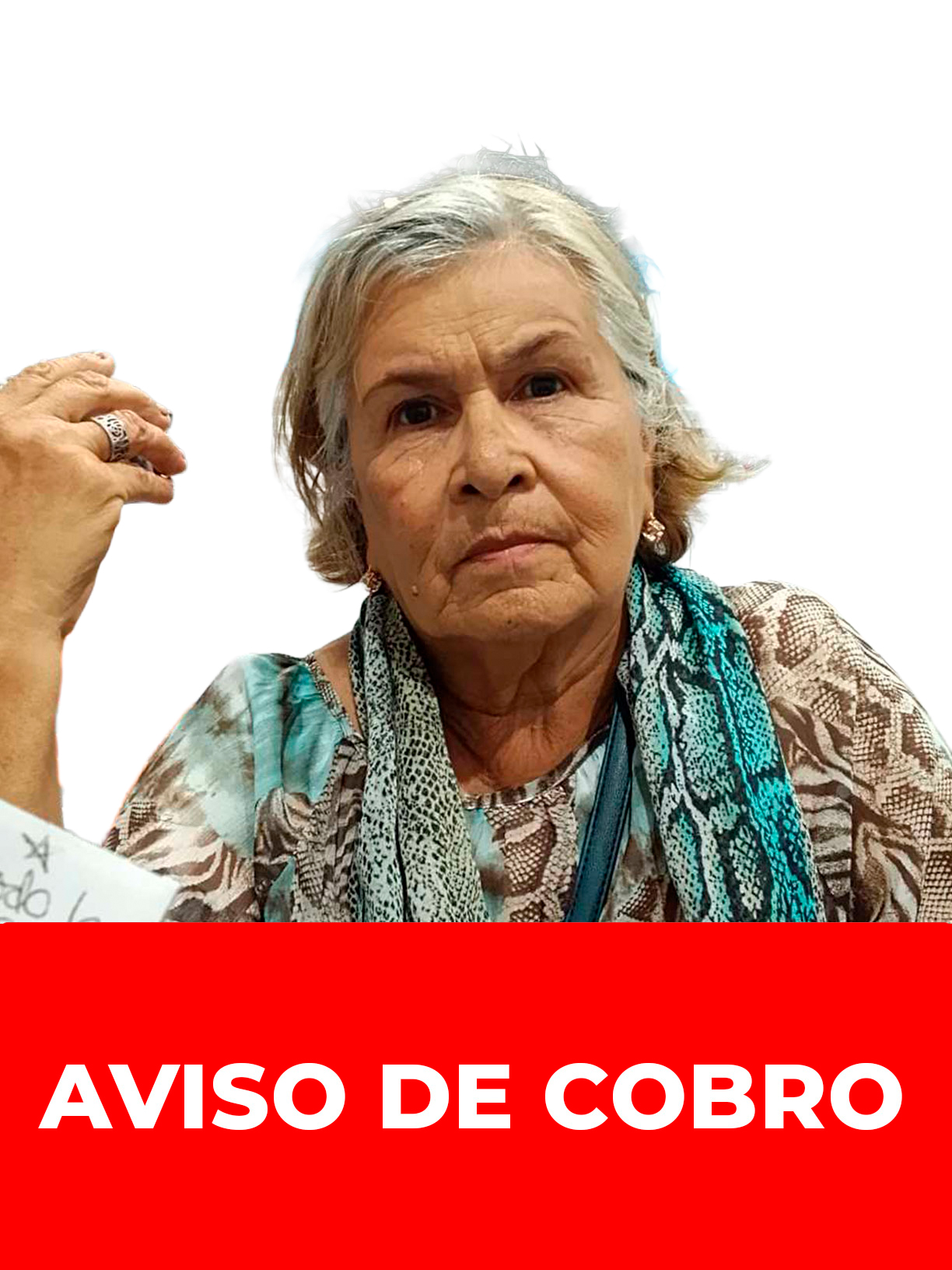 ADA ZENAIDA ARAUJO DE DIAZ