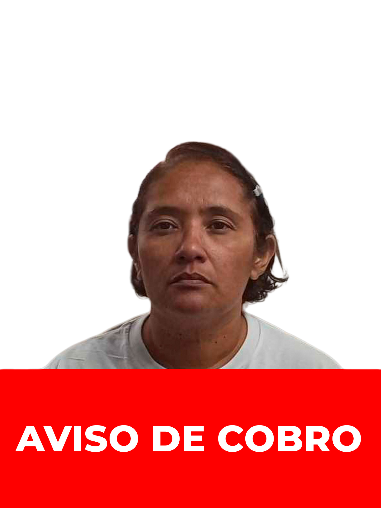 ANAIS LIÑAN DE LOMELLI