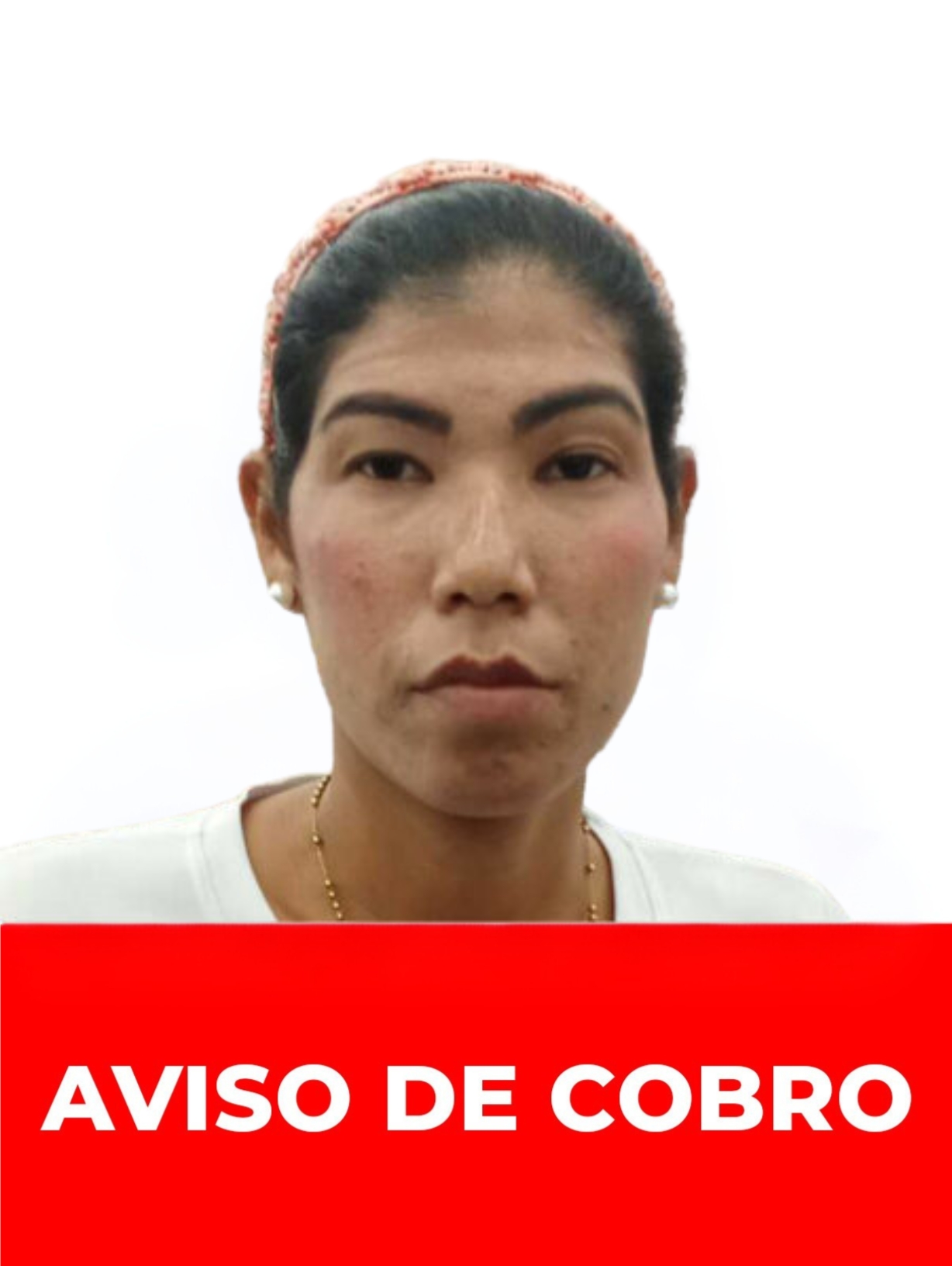 JOHANA DEL CARMEN HERNANDEZ BERMUDEZ