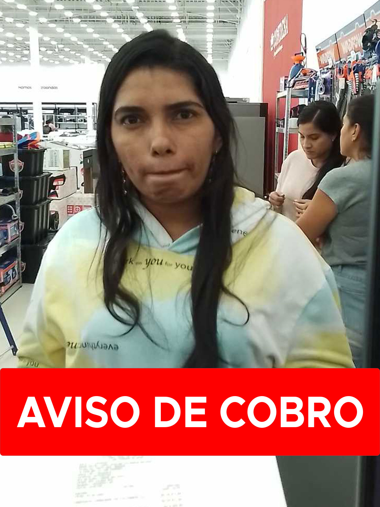 LEDYS CRISTINA VILLANUEVA GALLEGOS