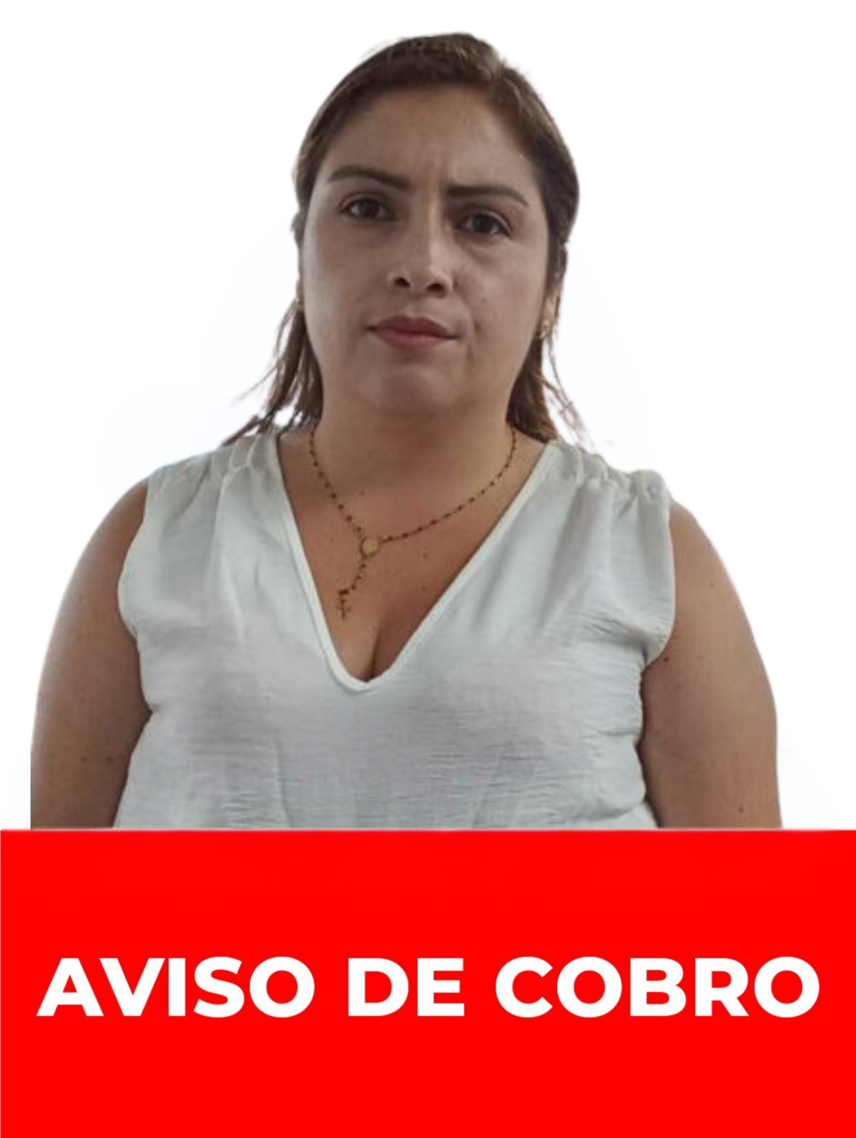 VIANNEY PIERINA BRICEÑO ABREU