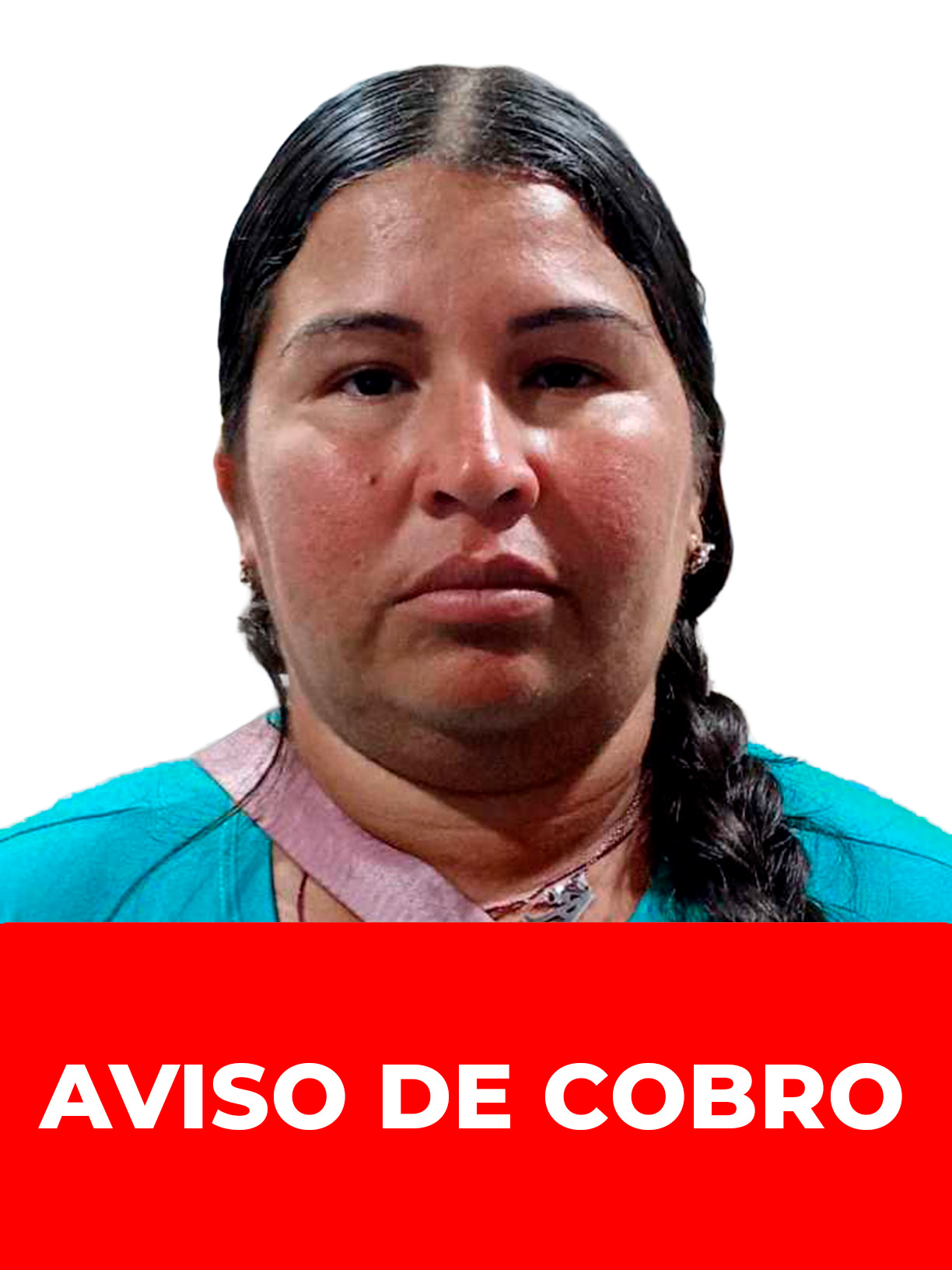 ALCIDELIS DEL JESUS ALFONZO MARCANO