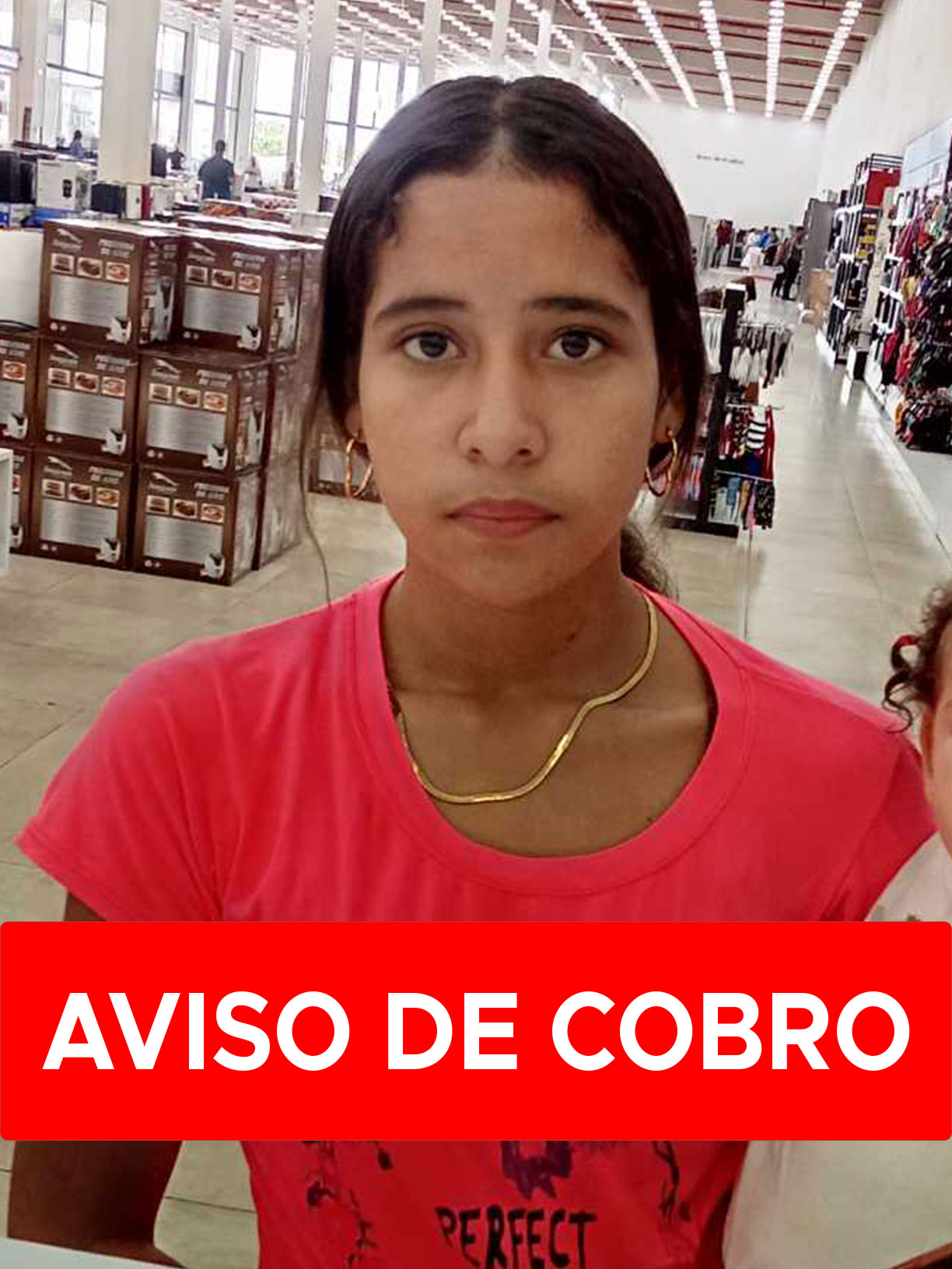 ANYELIN DEL CARMEN BENITEZ OLLARVES