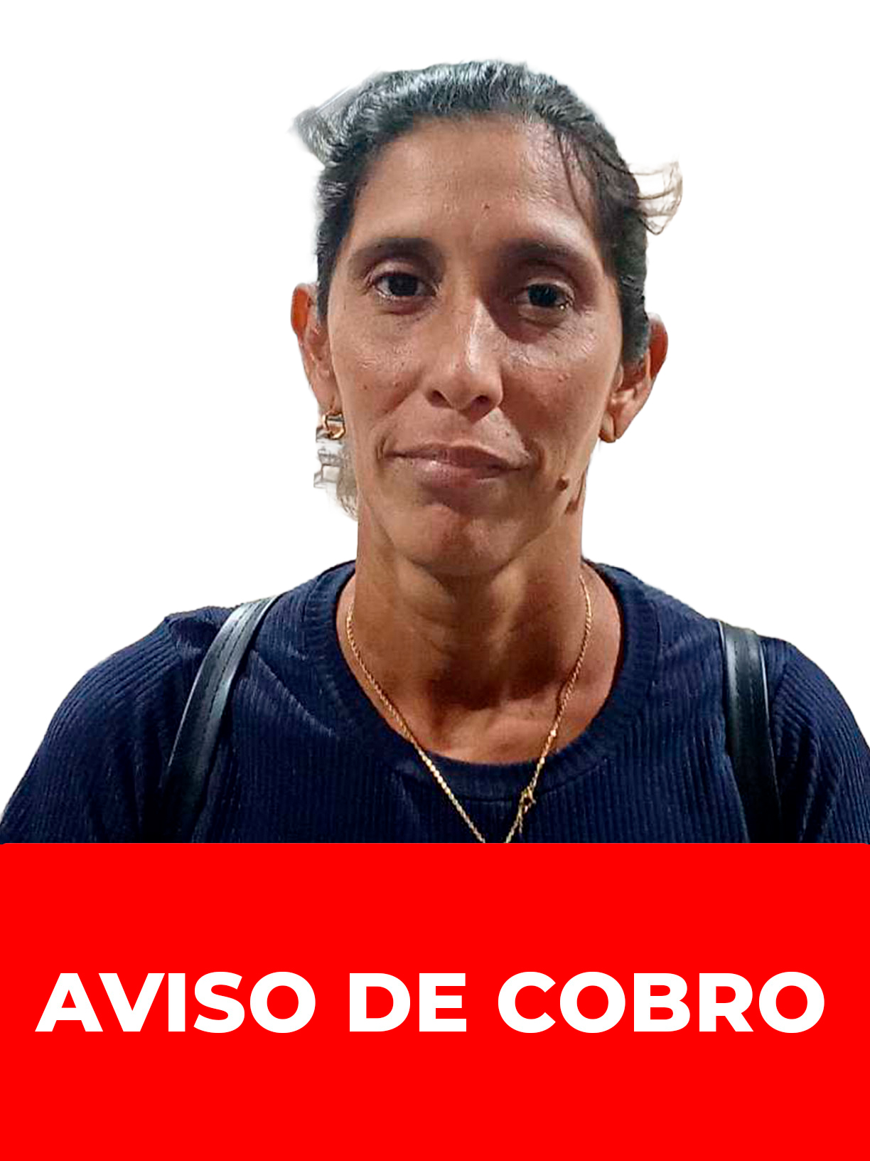 ARCELIS DEL CARMEN SUAREZ VICENT