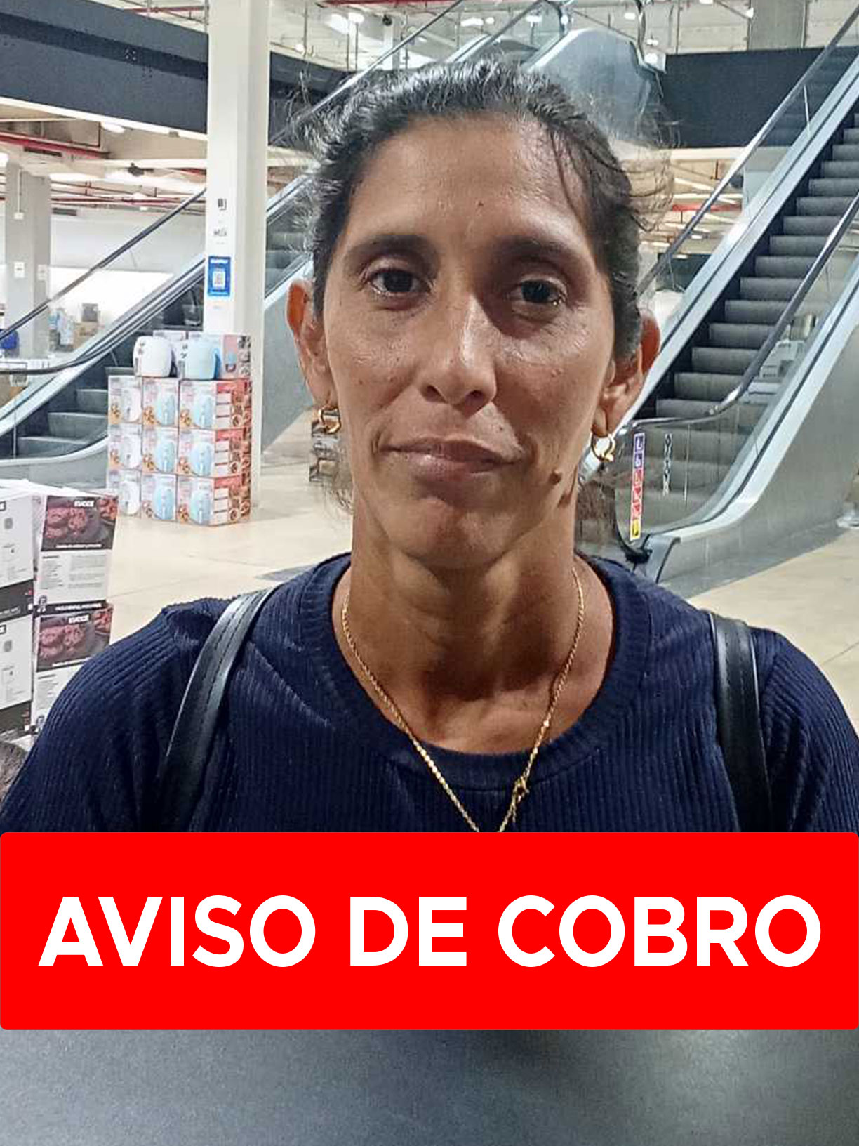 ARCELIS DEL CARMEN SUAREZ VICENT