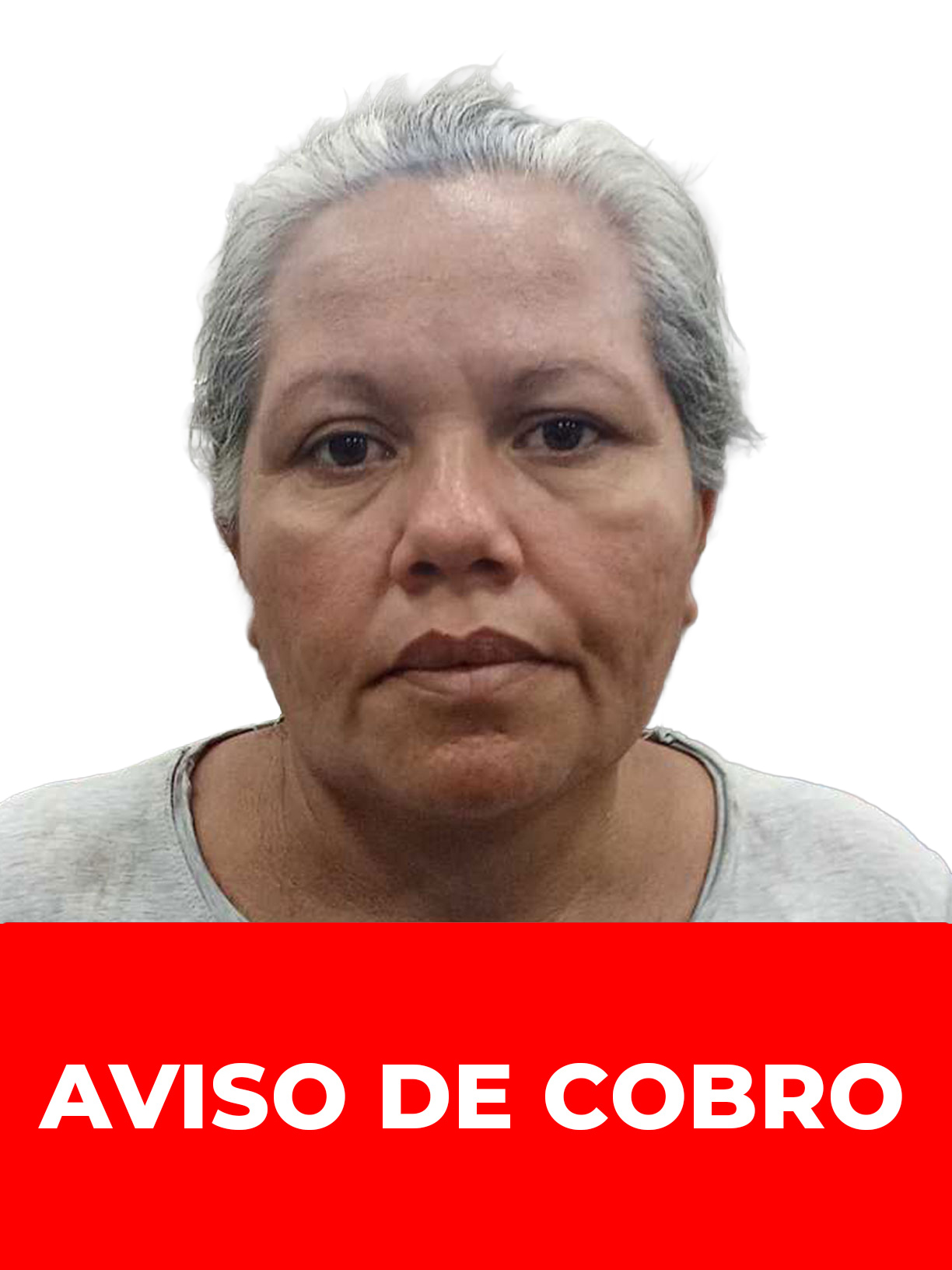 EMMA DEL CARMEN HENRIQUEZ MEDINA