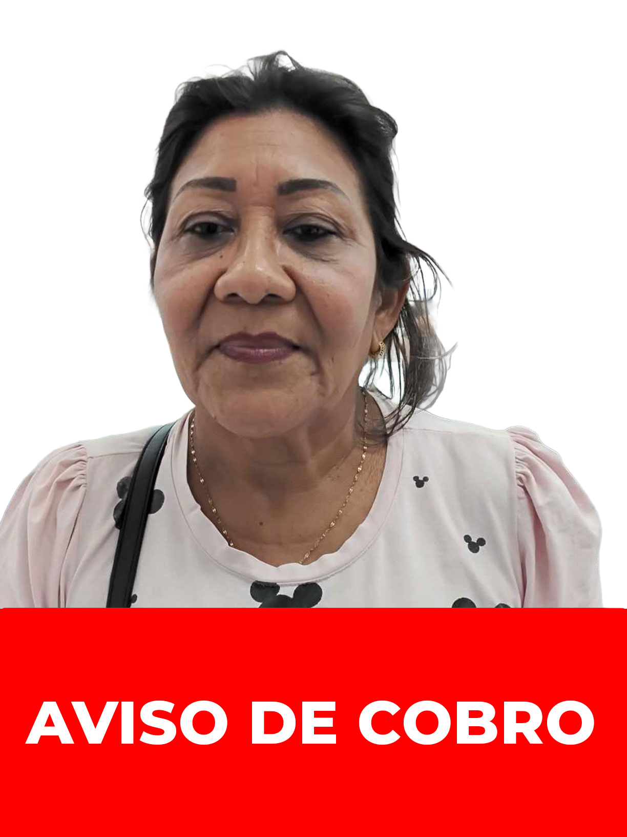 ROSA TEODORA PEREZ RODRIGUEZ