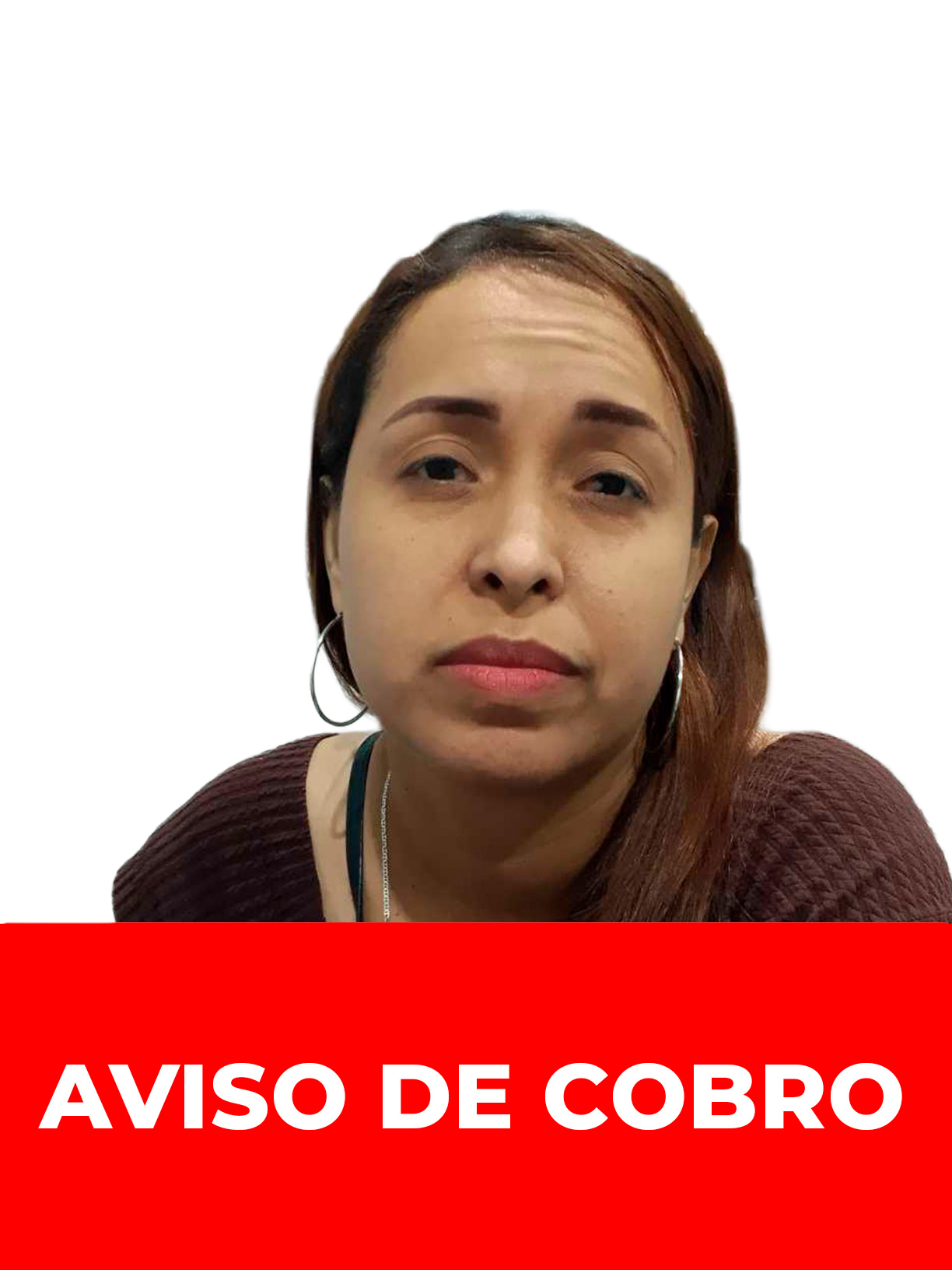 BRENDA DEL CARMEN HERRERA RAMIREZ