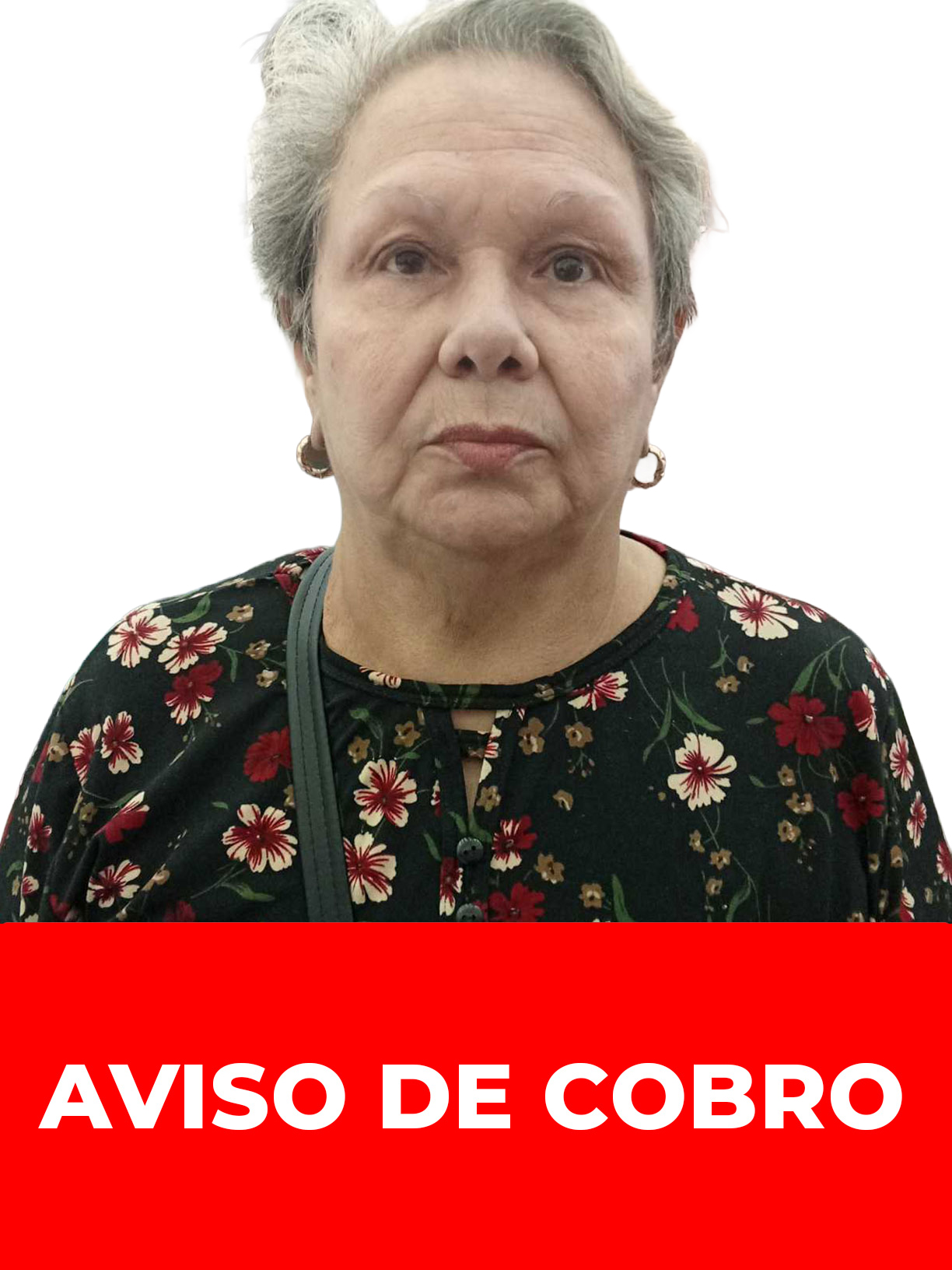 DAISI DEL CARMEN RINCON FINOL