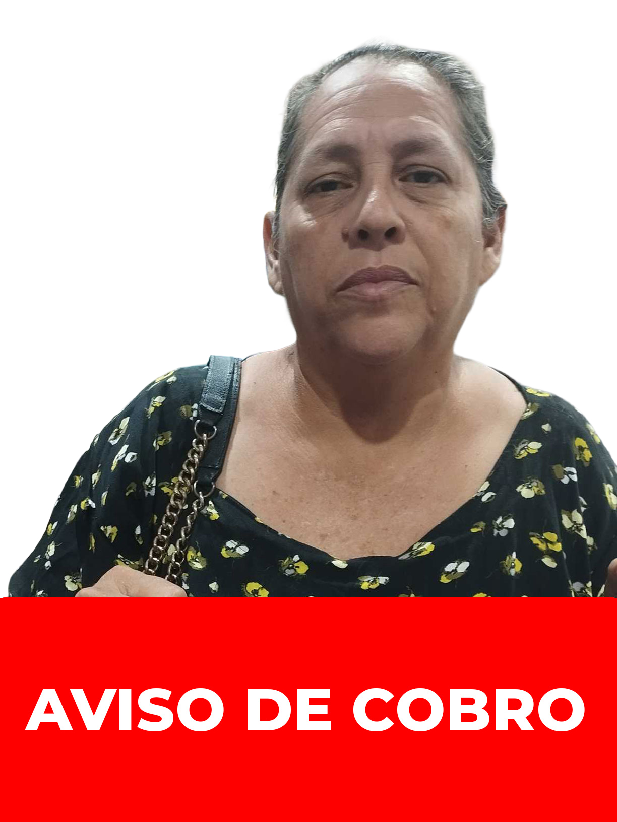 DAYSYS COROMOTO PEREZ LUGO