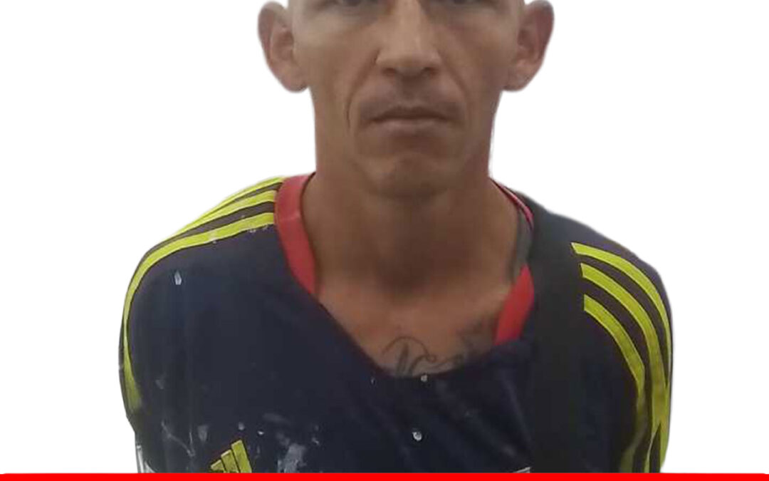 GLAUDYS VIRGILIO ALARCON PEREZ