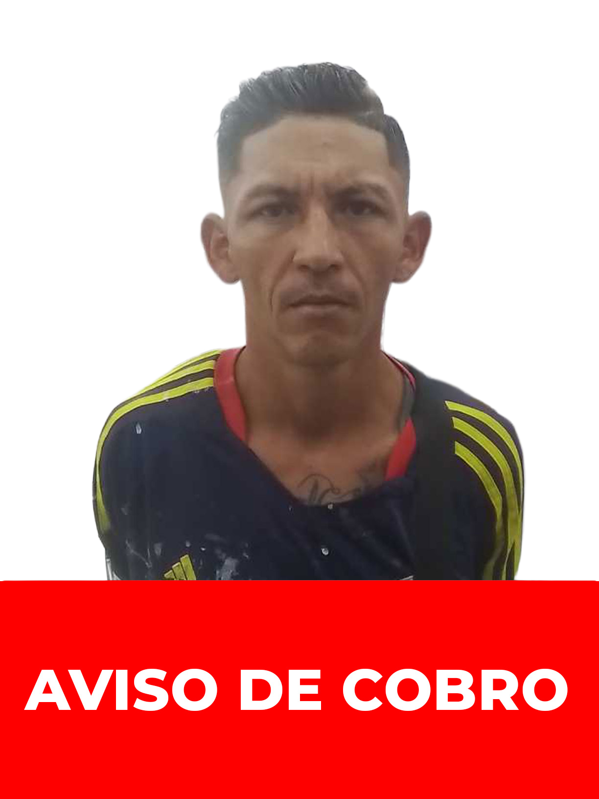 GLAUDYS VIRGILIO ALARCON PEREZ