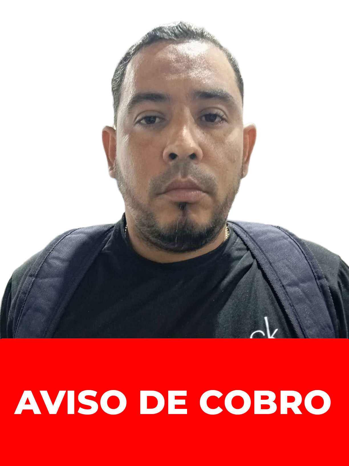 HECTOR ENRIQUE PINEDA PICHARDO