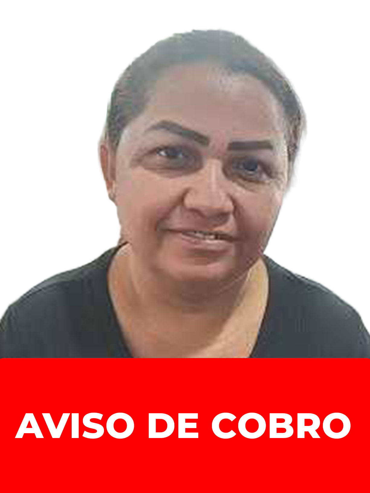 HEIDY ELENA SANCHEZ BORGES