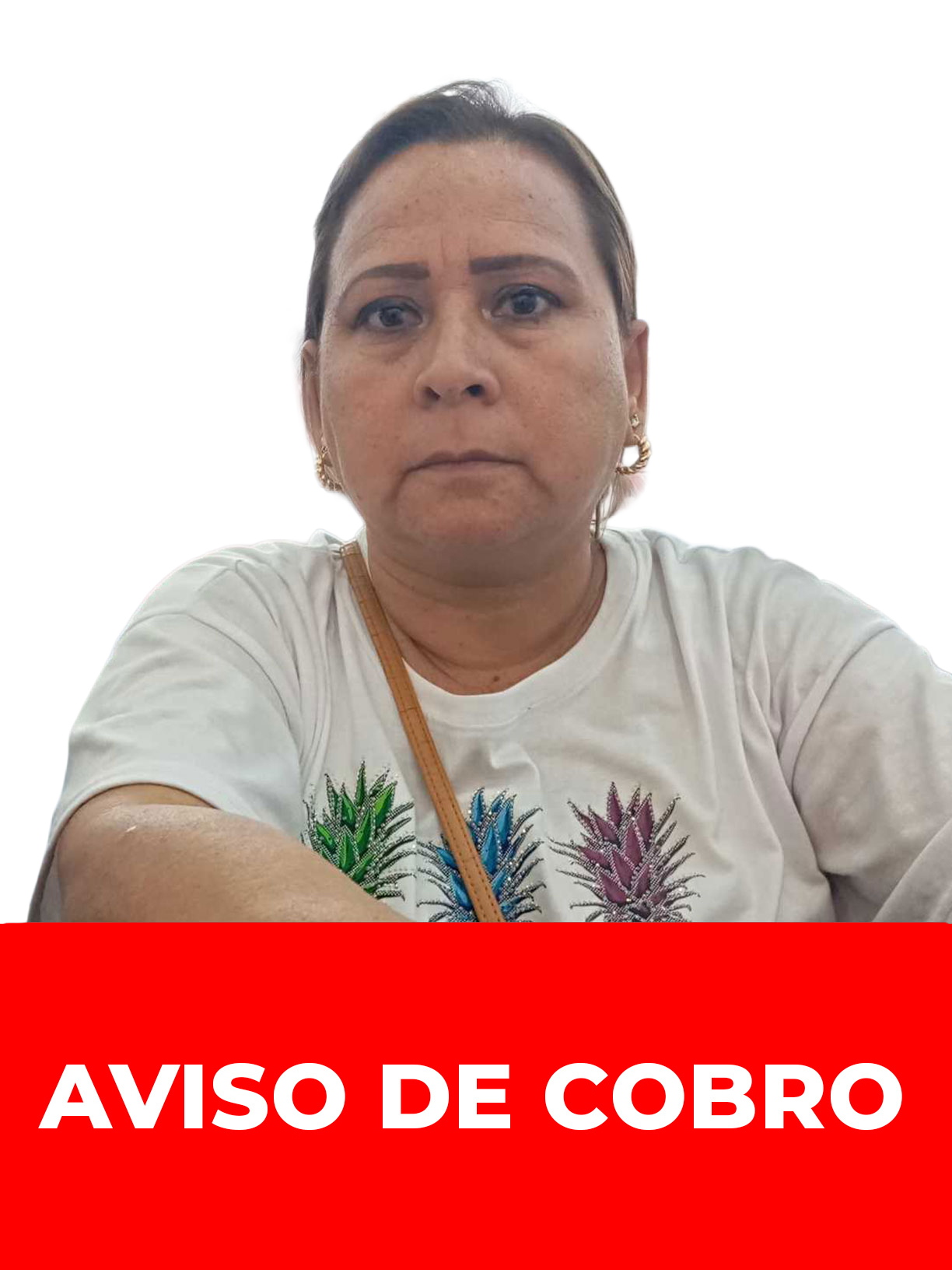 INES GRACIELA NUÑES PEREZ