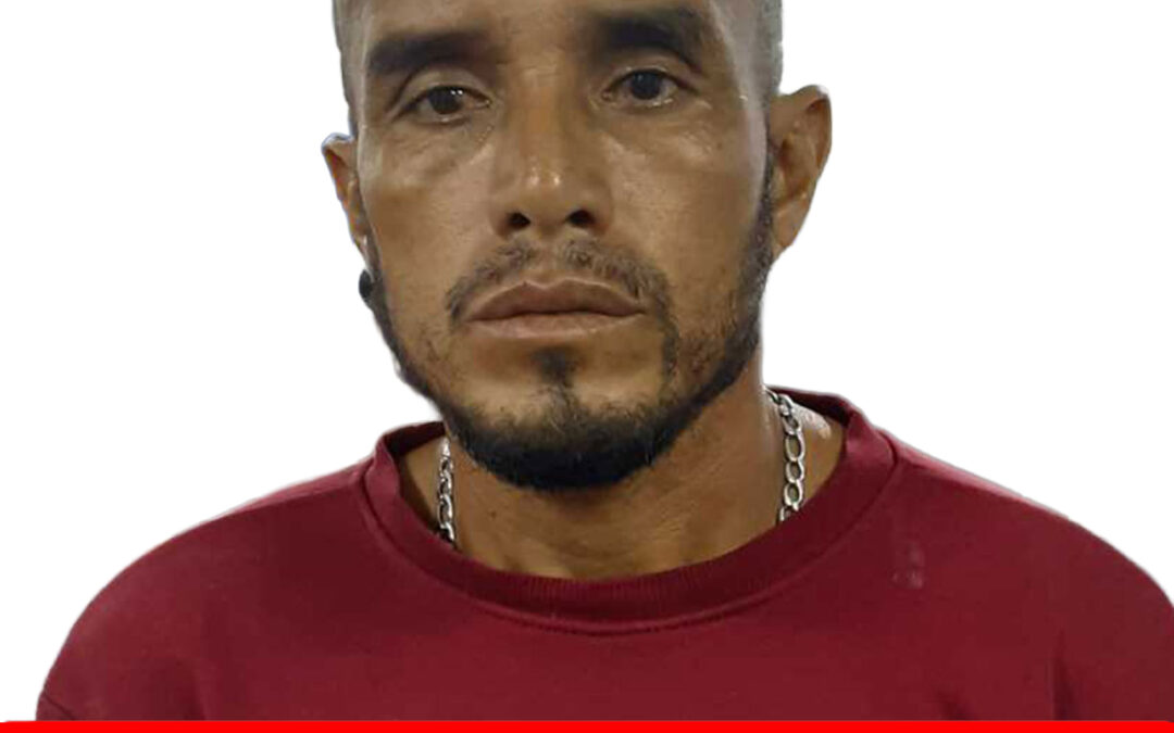 JULIO CESAR VIAMONTE RONDON