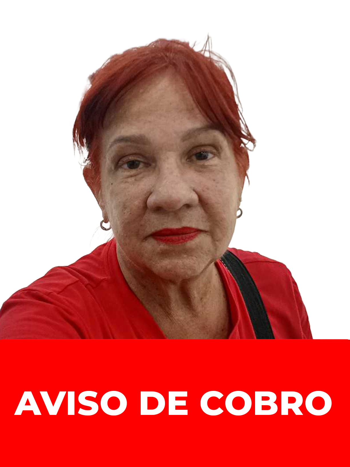 LAURA GISELA NESSI NESSI DE ALSINA