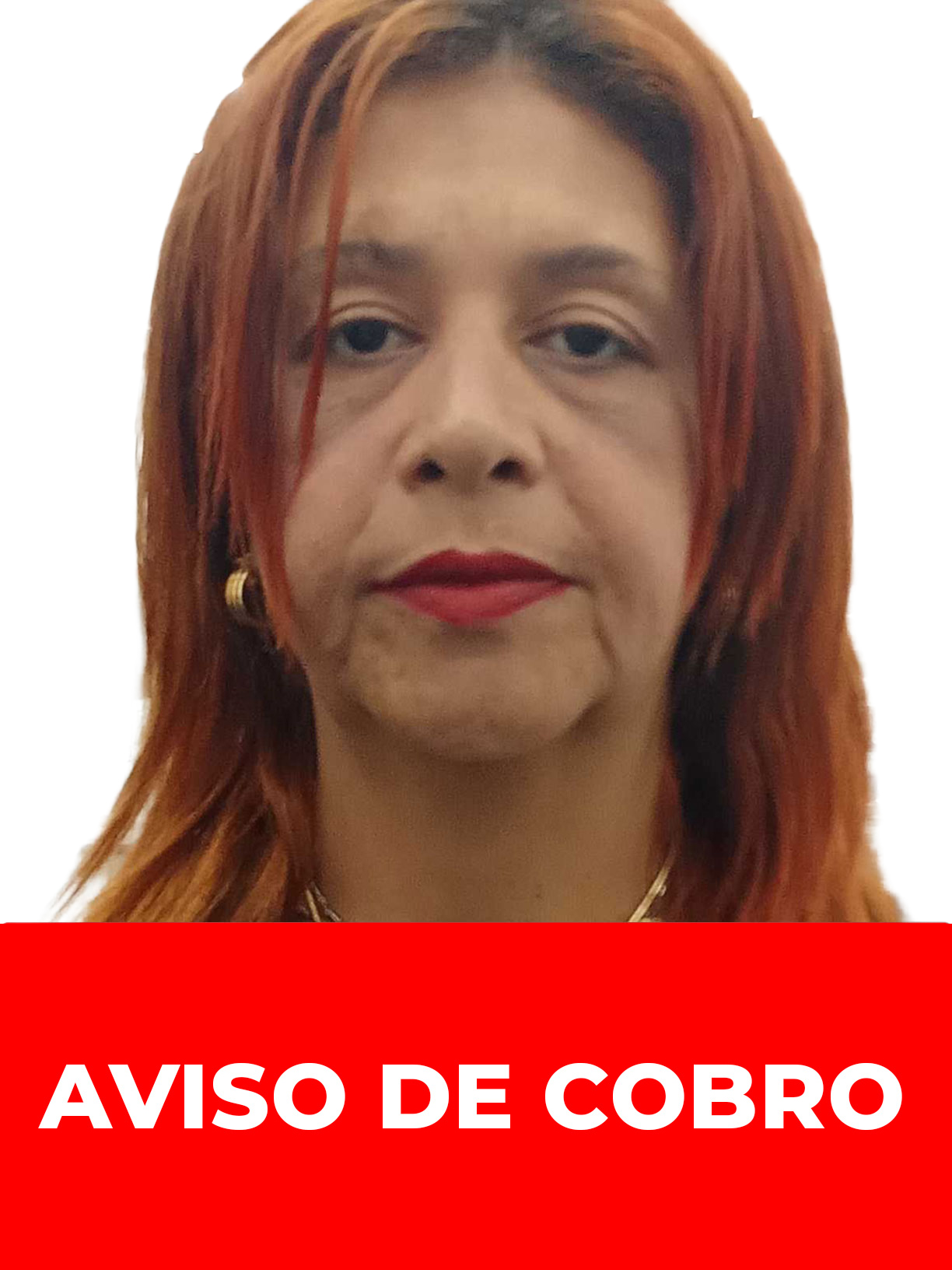 LERIDA AUXILIADORA NAVAS FORNERINO