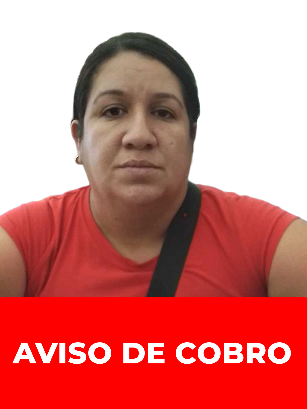 MABBEL ALEJANDRA DEL SANTO PALMERA