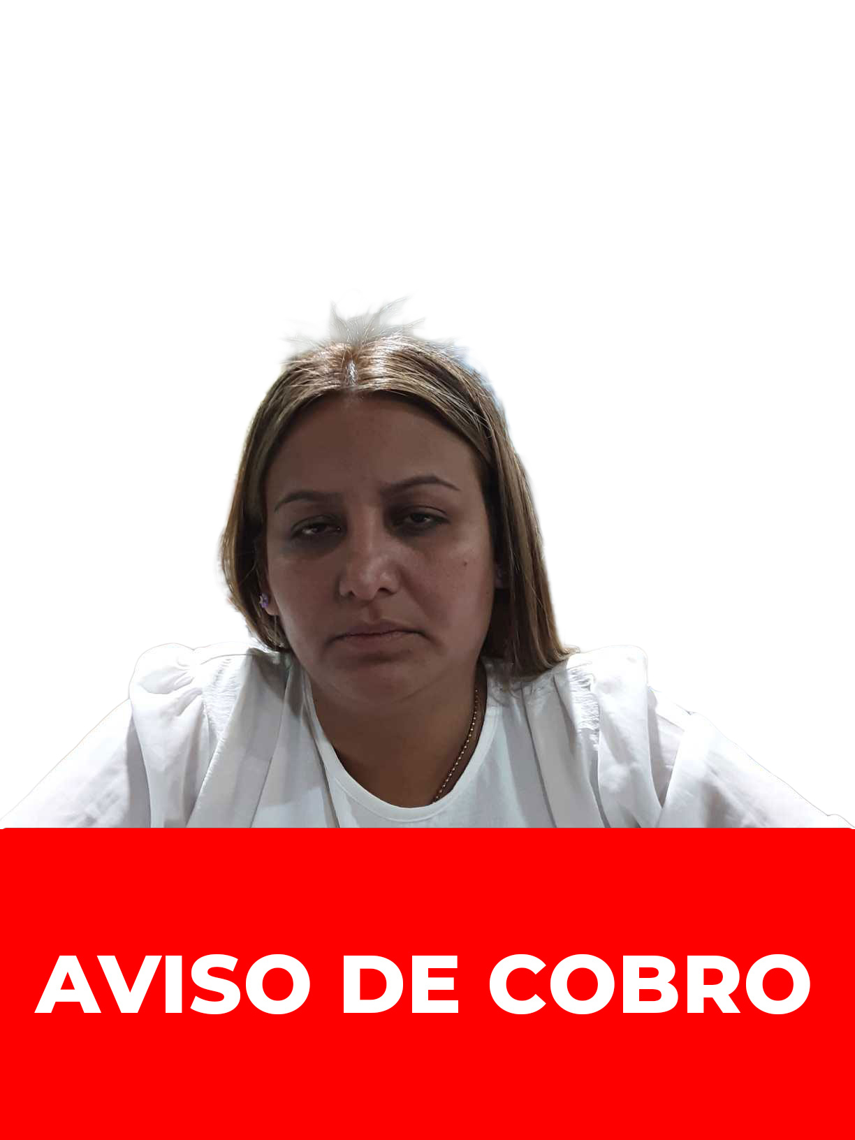 MARIA VIRGINIA HERNANDEZ SILVA