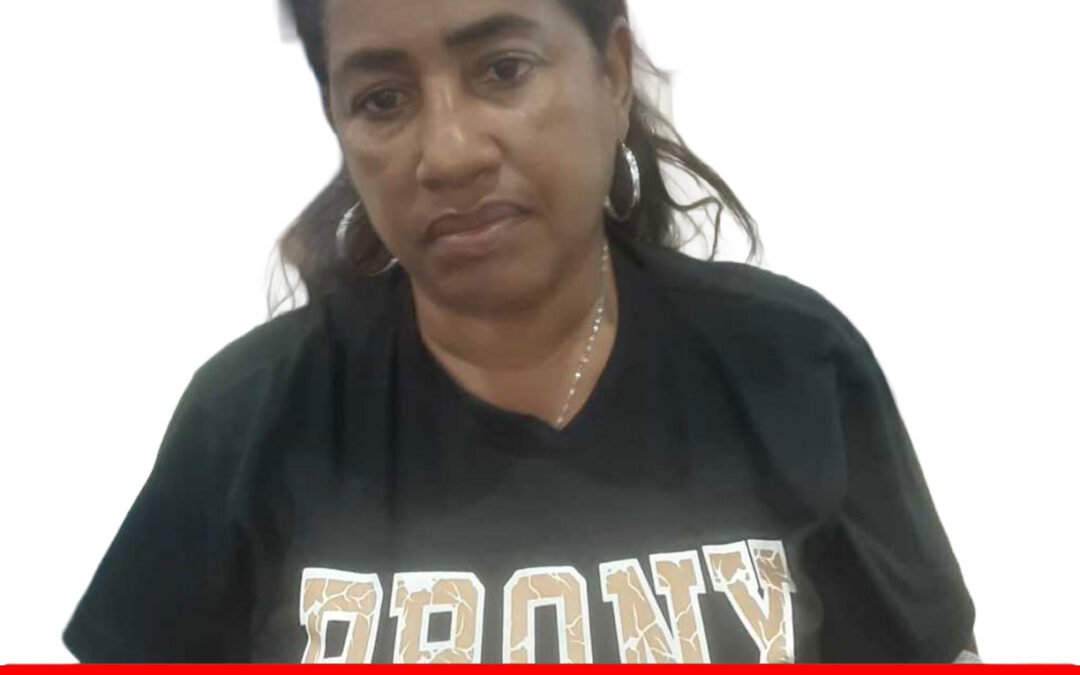 MIRLA BRICEÑO GARCIA