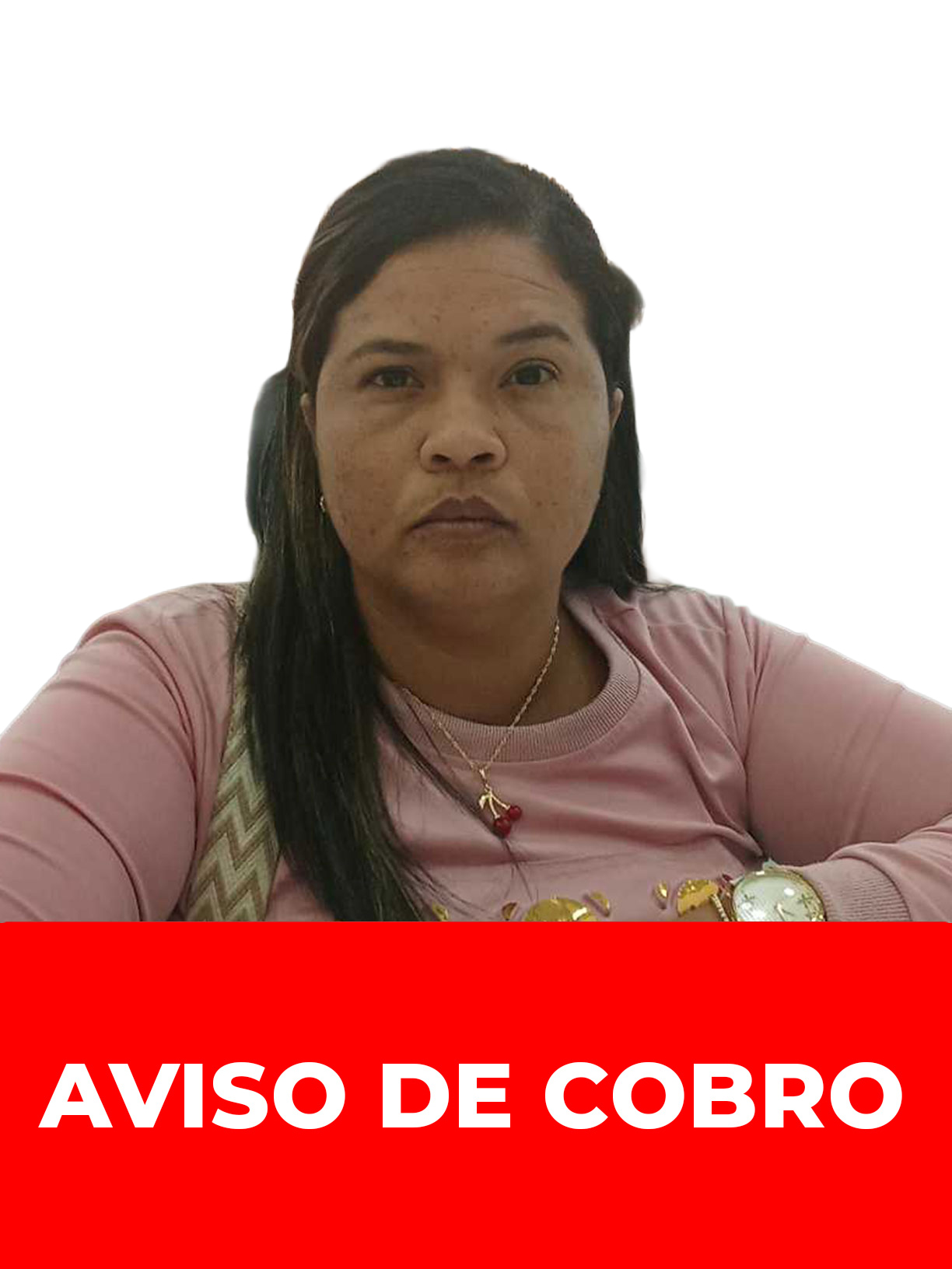 PAOLA DEL VALLE BRICEÑO OLLARVIDES