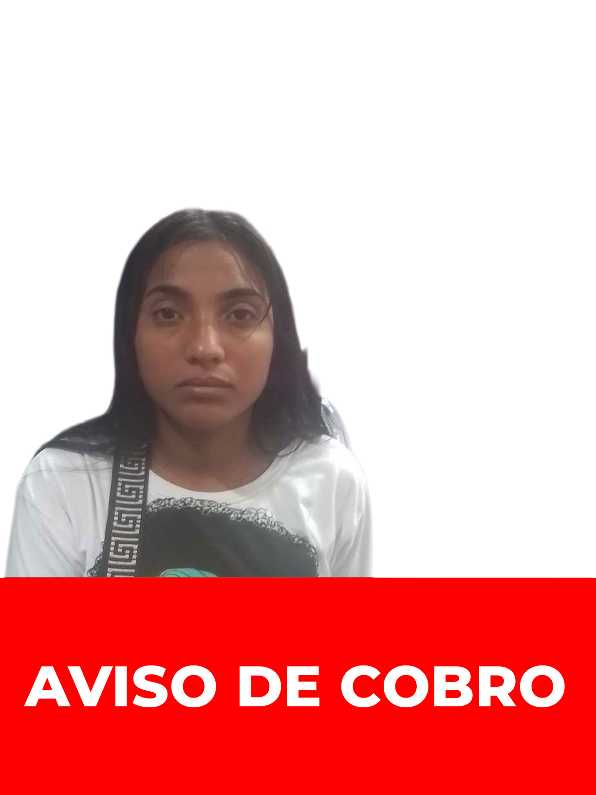 VILEIDYS DEL CARMEN MORENO CASTRO