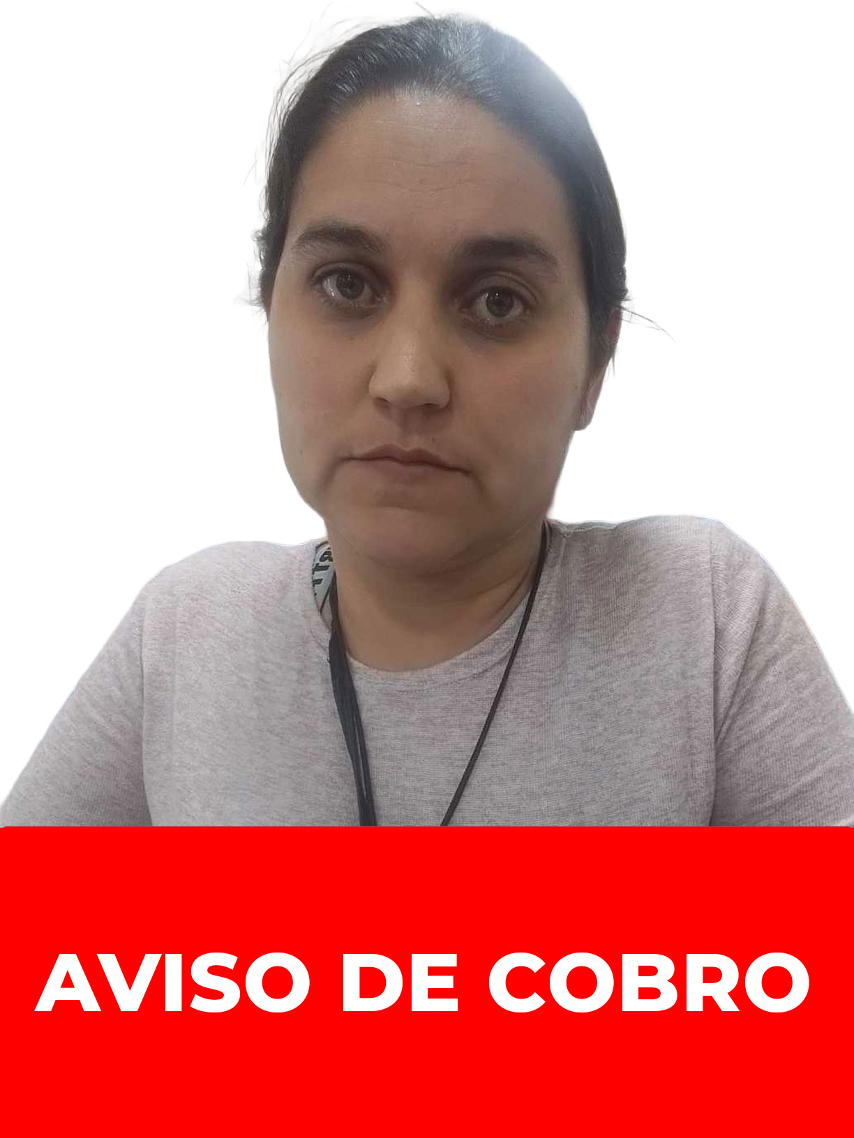 VIRGINIA CAROLINA PINO HERNANDEZ