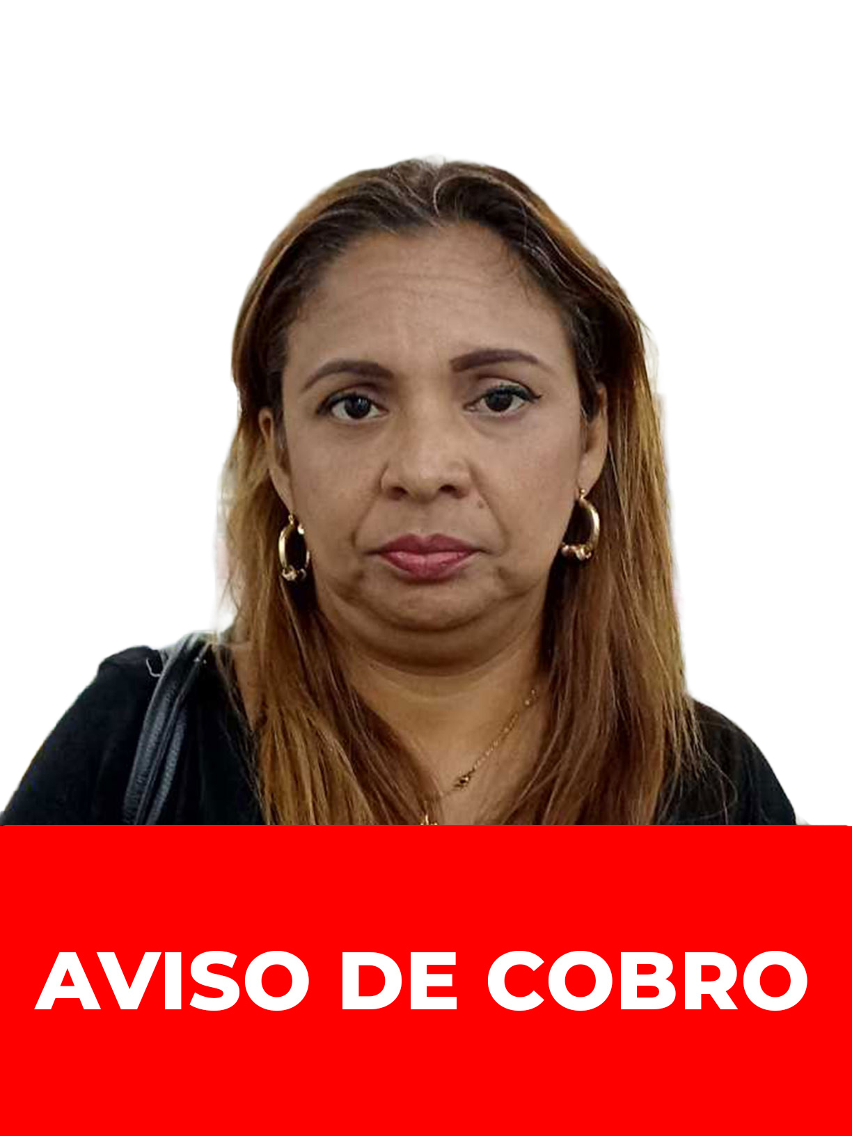 VIRGINIA CAROLINA PORTILLO ORTIZ