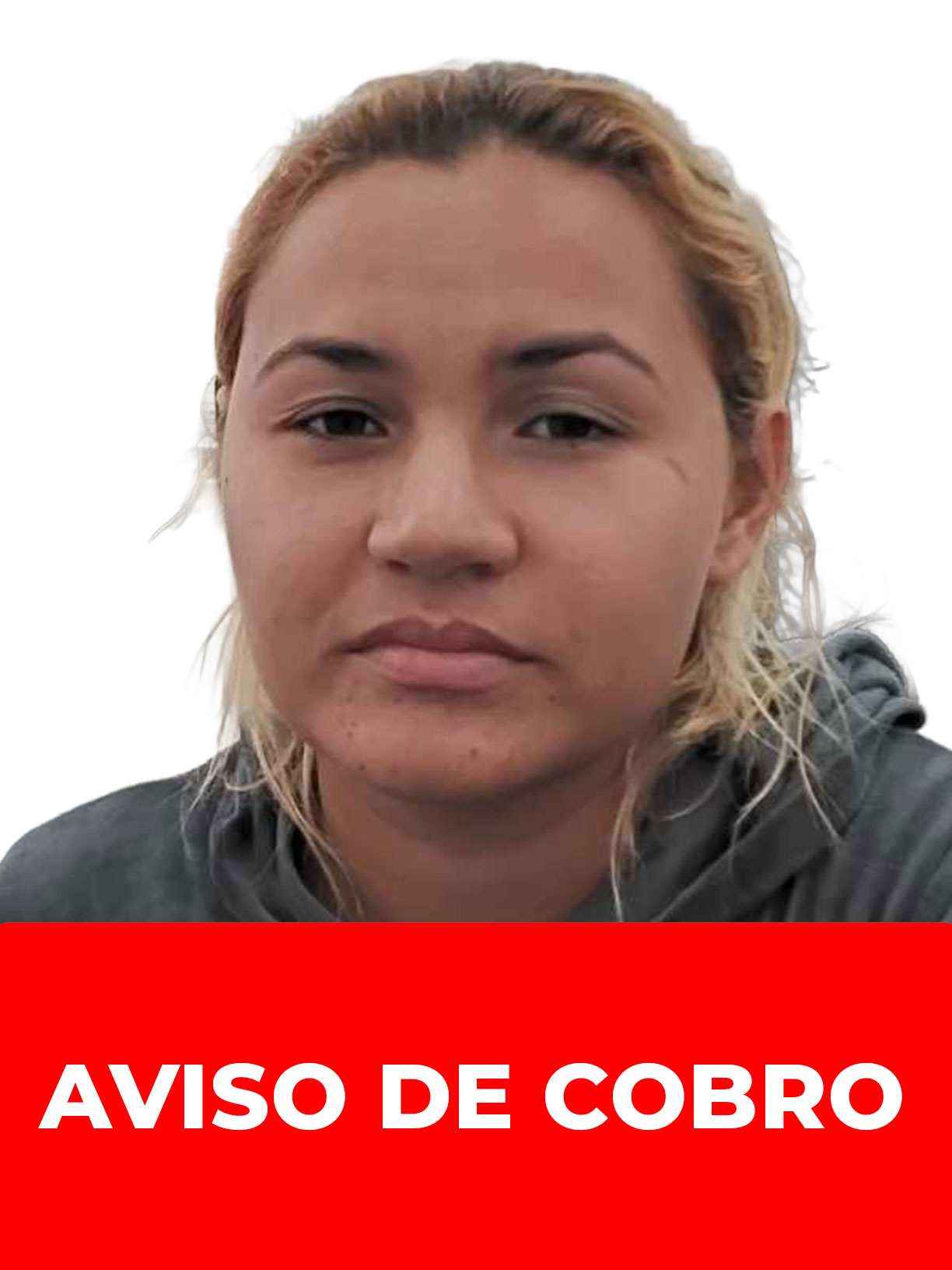 WILMARYS THEDELINE FERNANDEZ MORALES