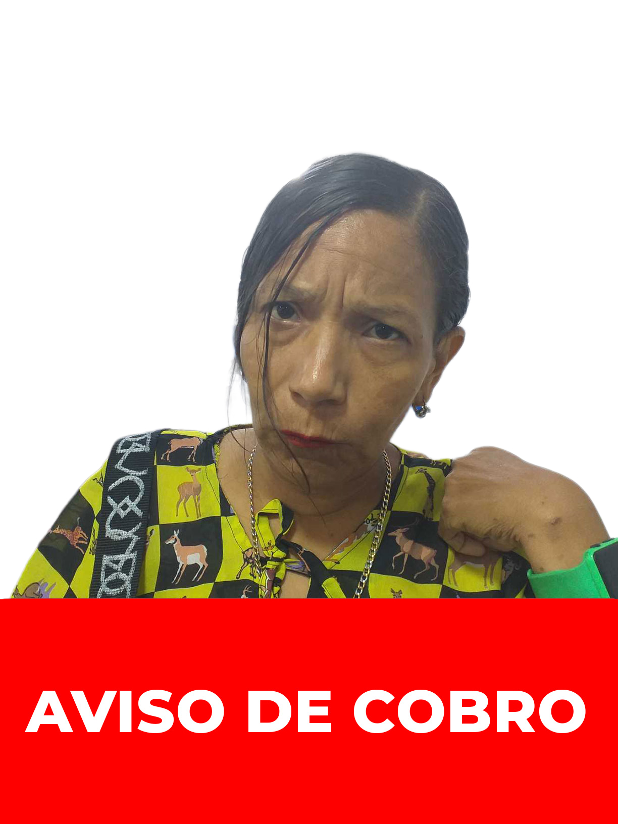 YASTER CATHAY LOPEZ ALBORNOZ