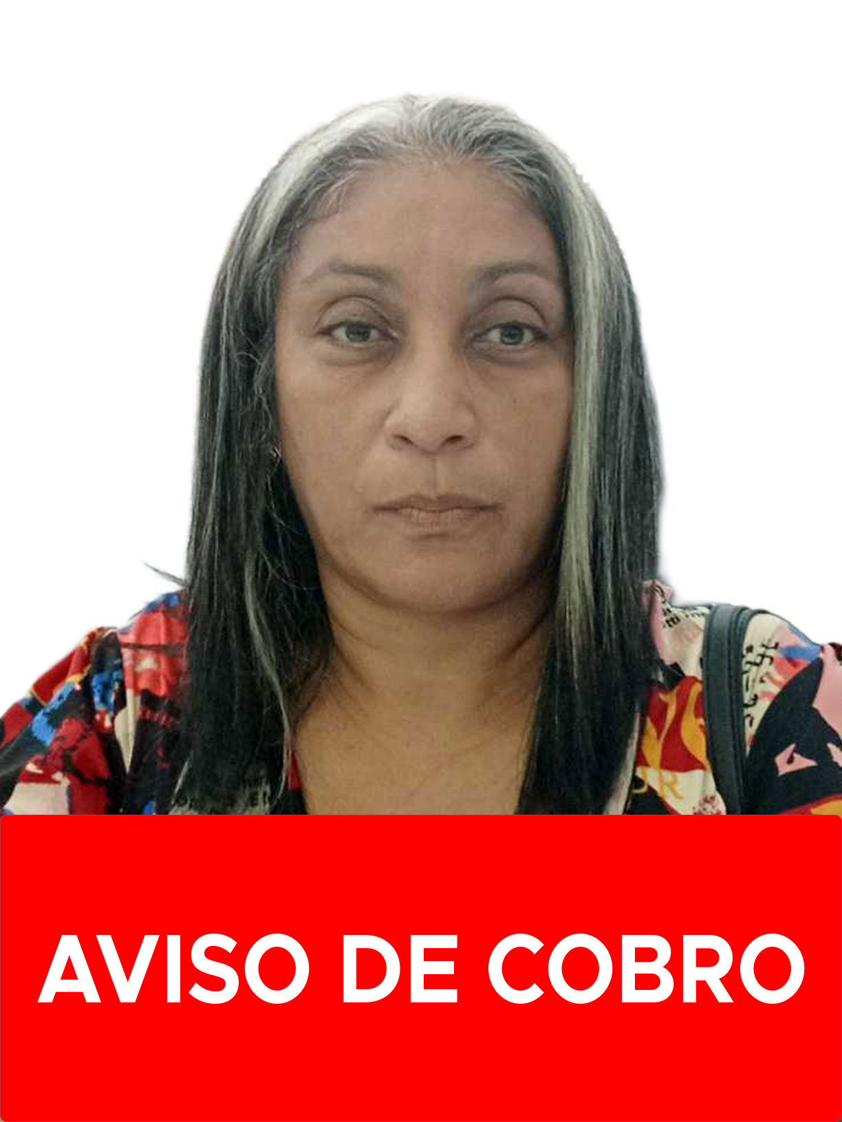 HAYDEE DE LAS MERCEDES ROBLES RODRIGUEZ