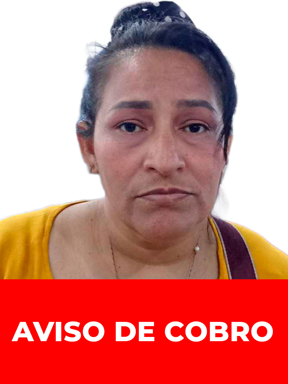 NEVIS YOISELINE ROBLES ASCANIO