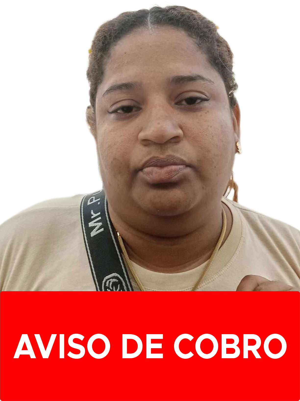 WILLMARY ANDREINA PINO GONZALEZ