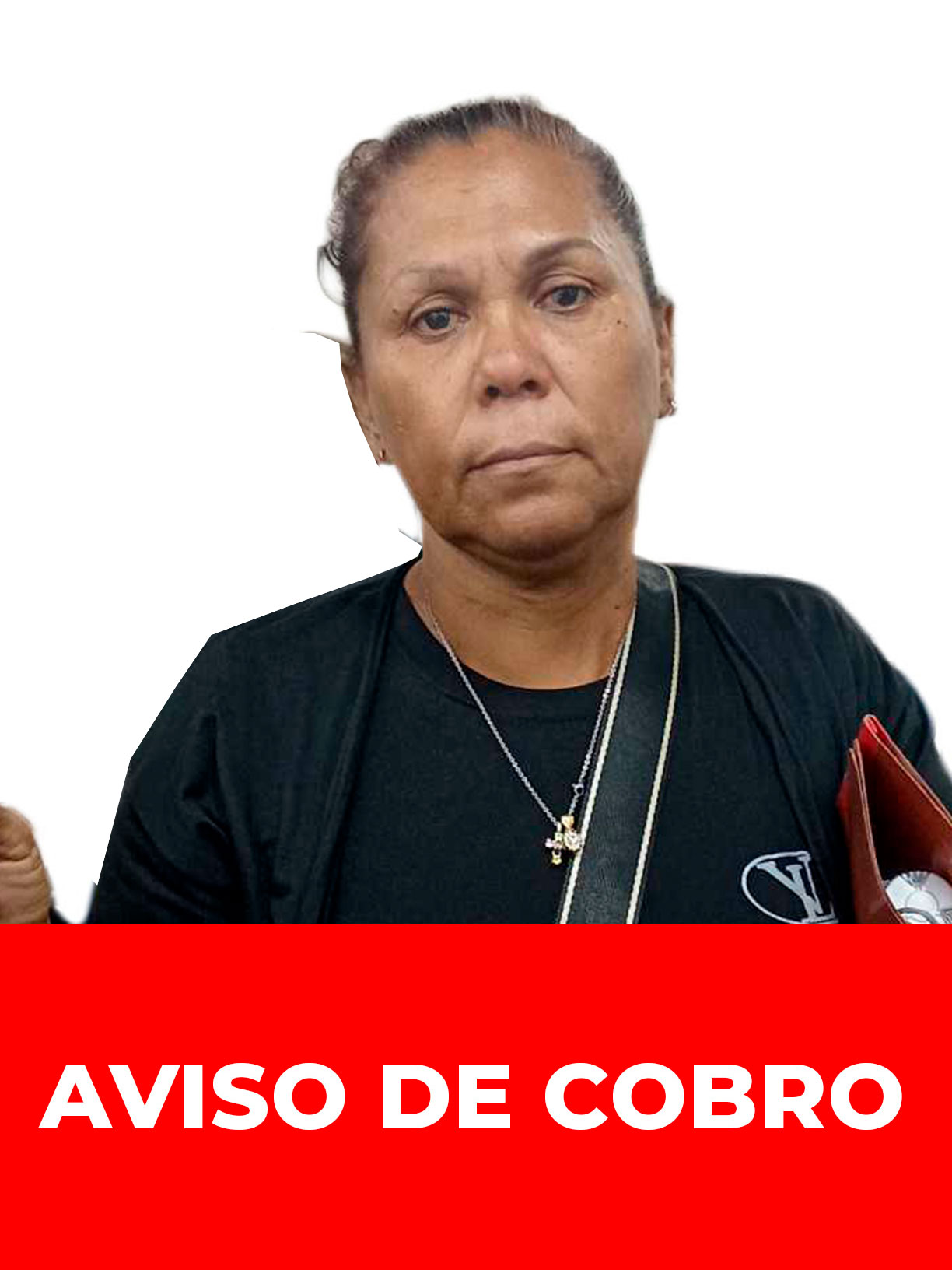 INES DEL CARMEN FLORES BARRIOS