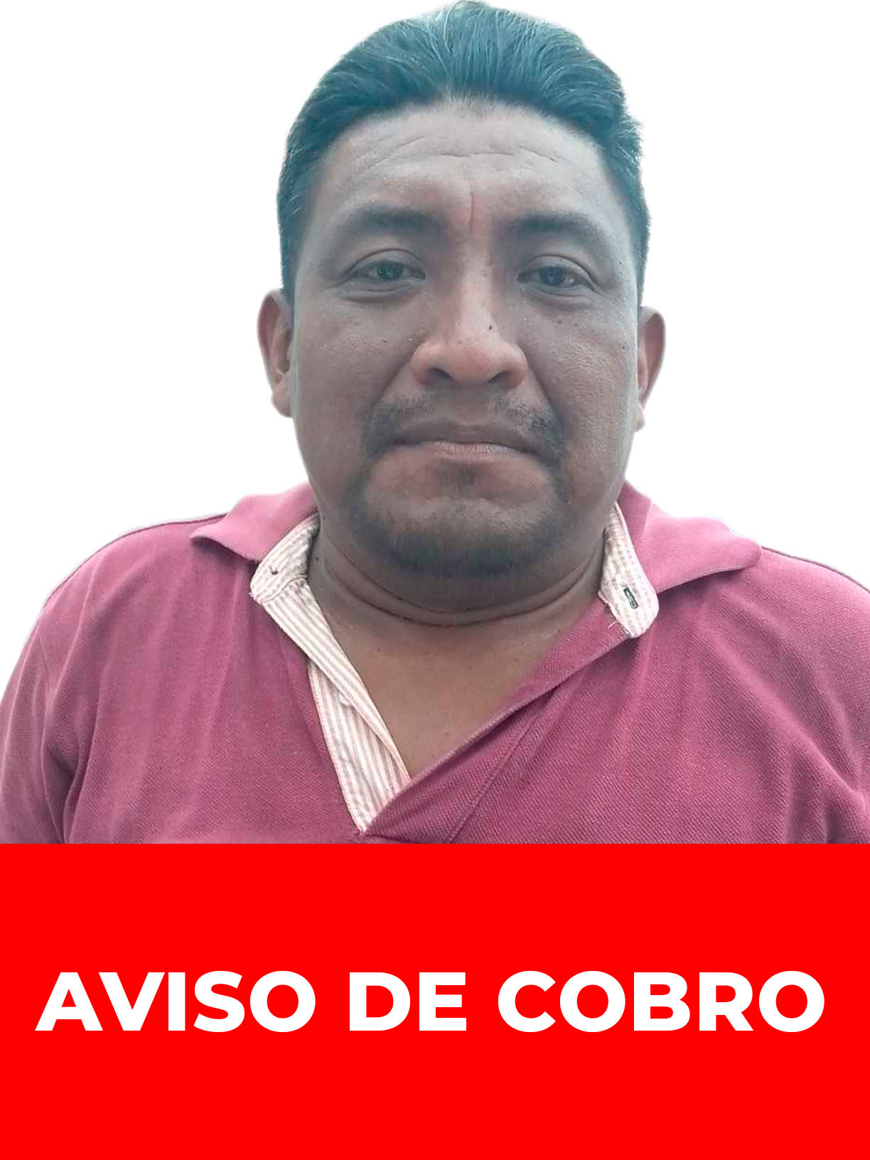 JULIO SEGUNDO PINEDA GONZALEZ